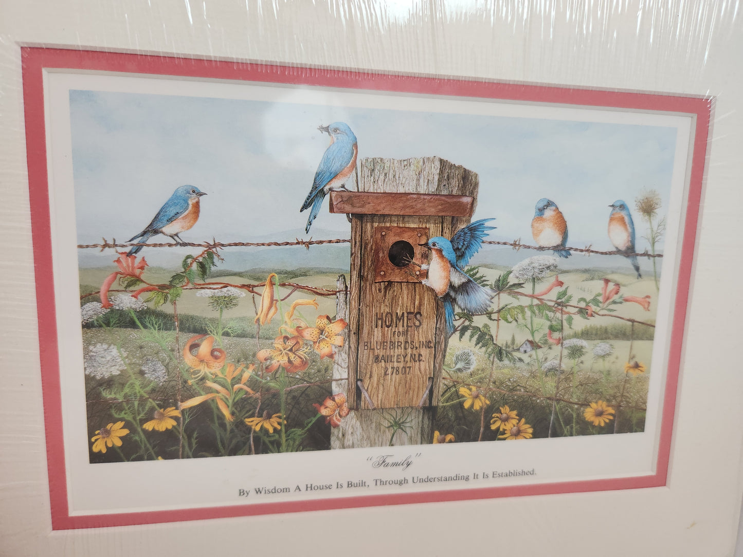 "Family" Print matted