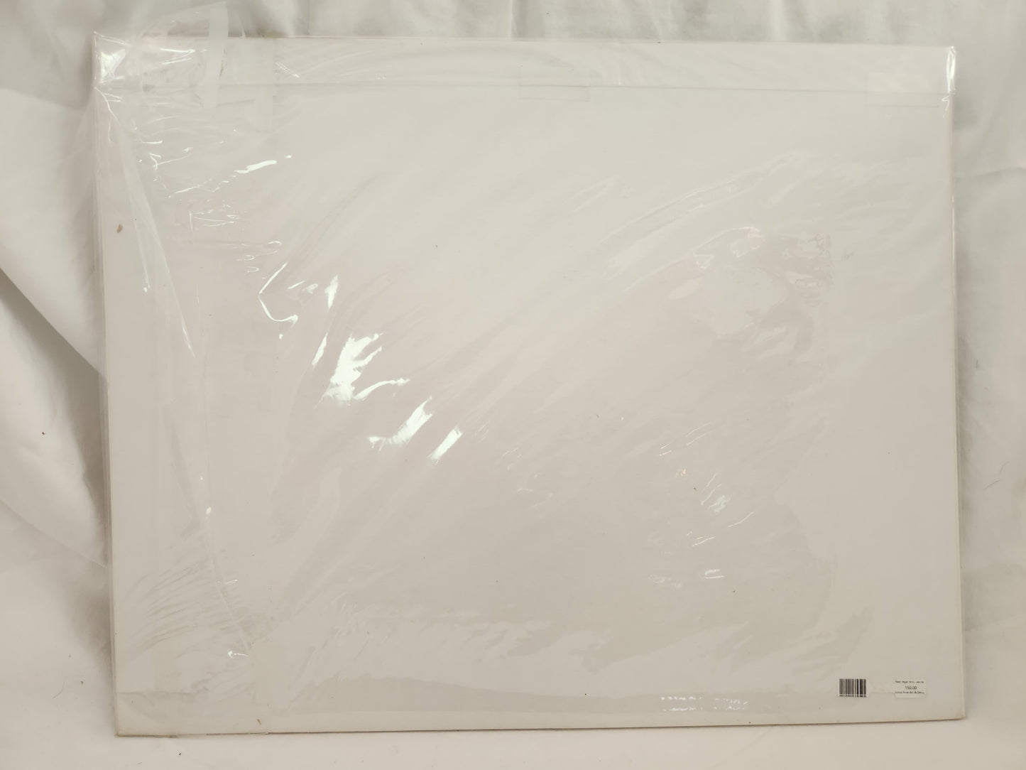 VTG - BODYSCAPES by Allan I. Teger "Airplane" Print Signed by Artist '81 - 49/250