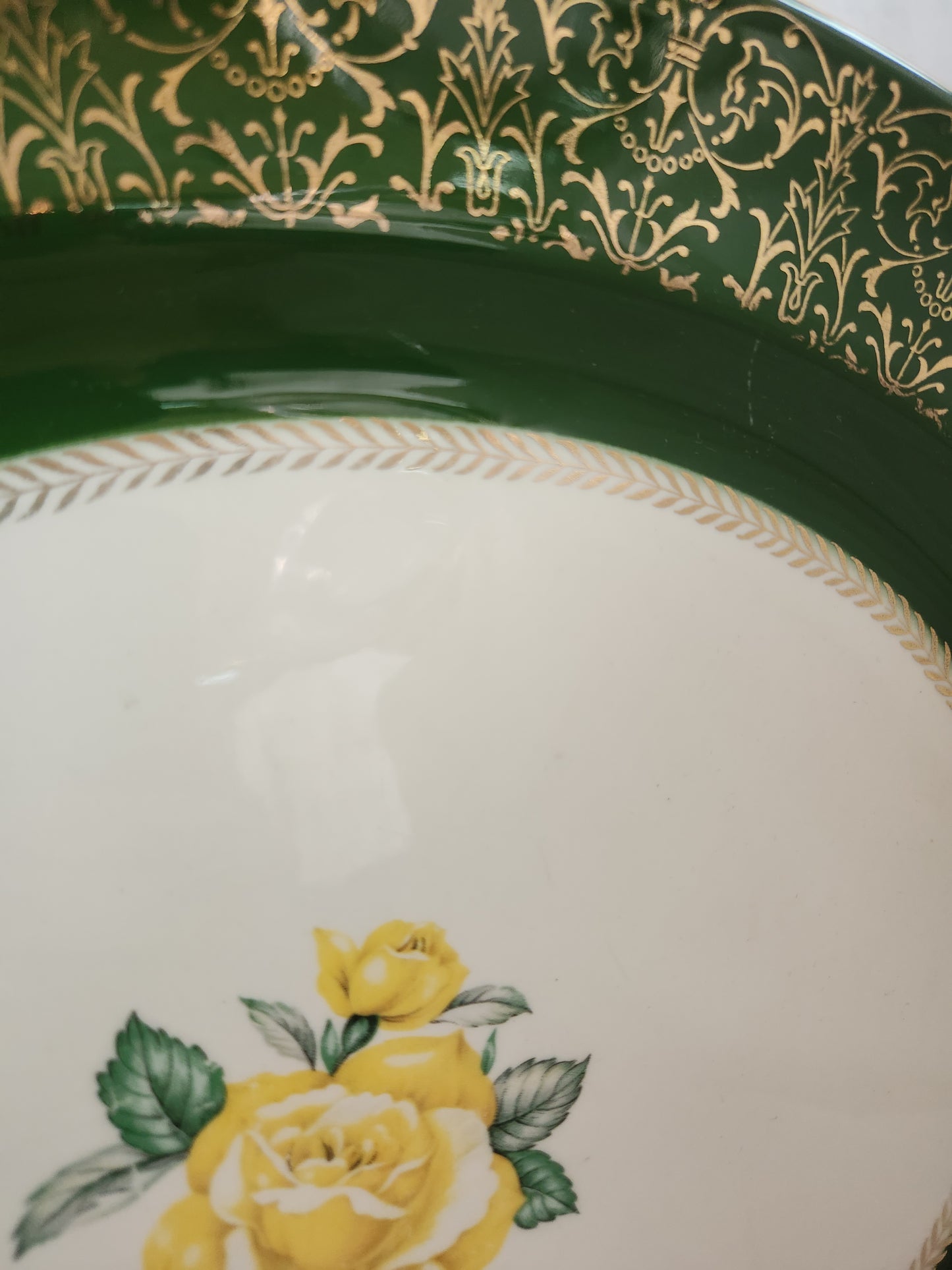 Nautilus Lady Greenbriar 15" Oval Serving Platter by Homer Laughlin