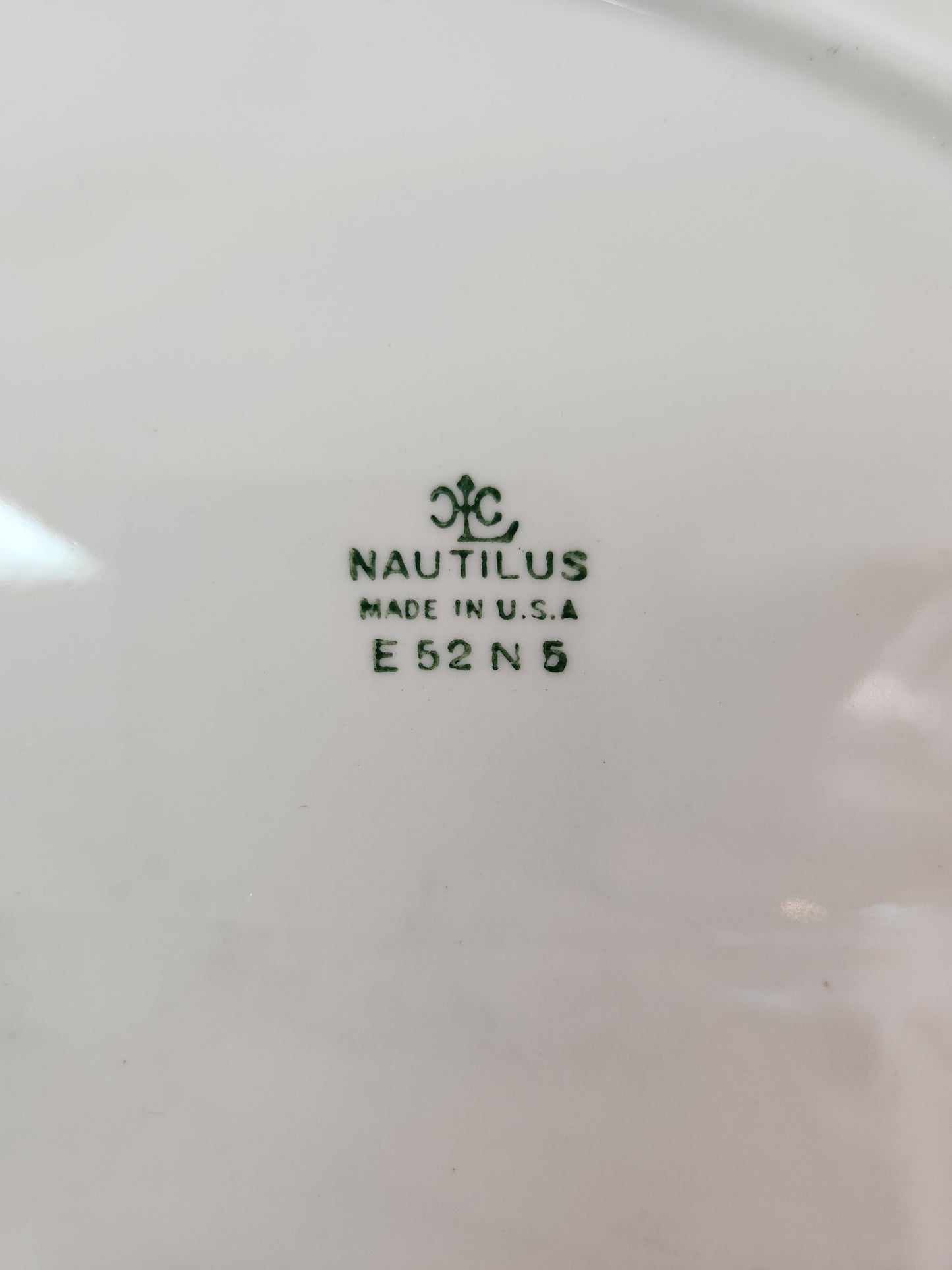 Nautilus Lady Greenbriar 15" Oval Serving Platter by Homer Laughlin