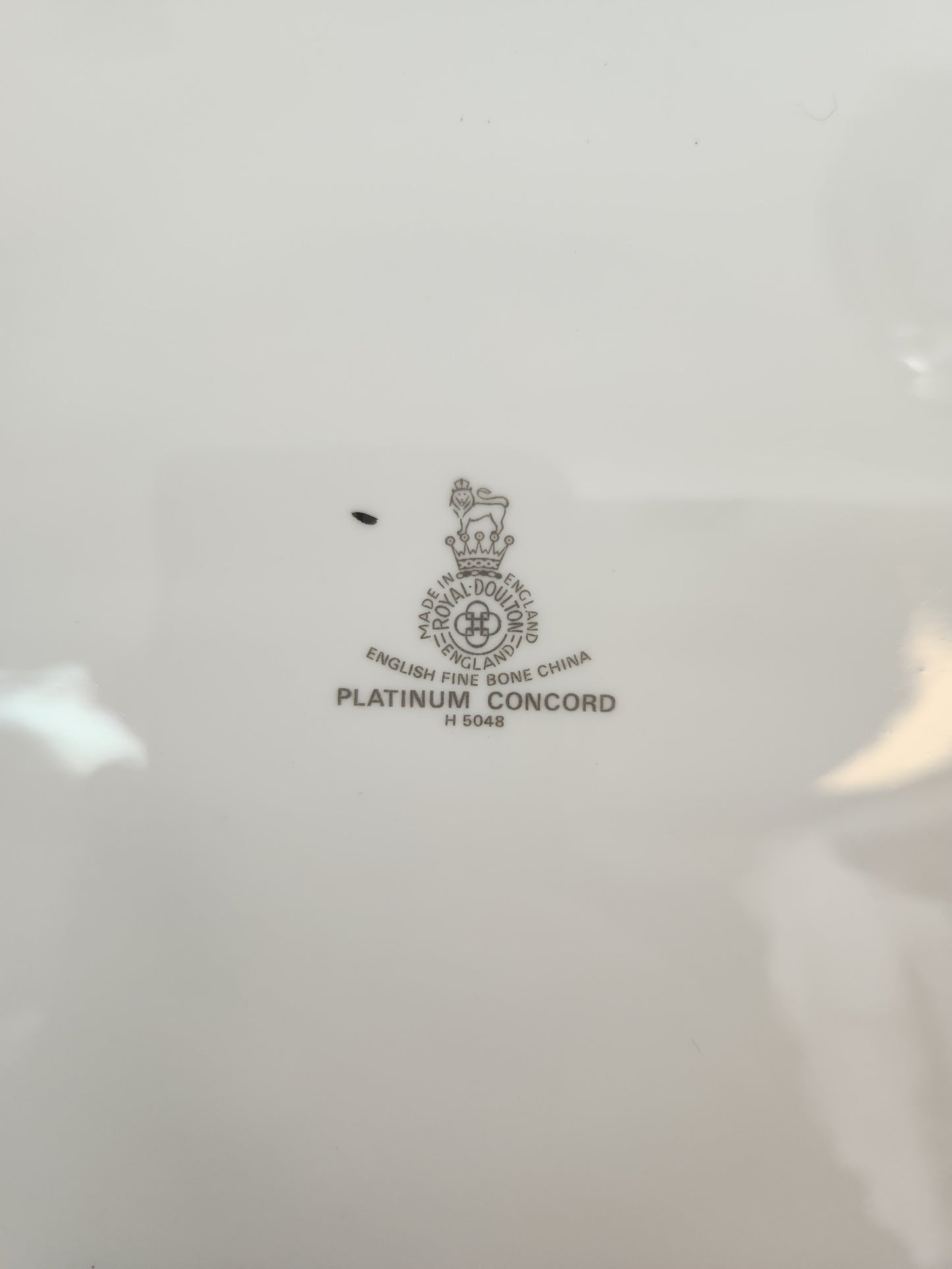 Concord Platinum 16" Oval Serving Platter by Royal Doulton - #H5048