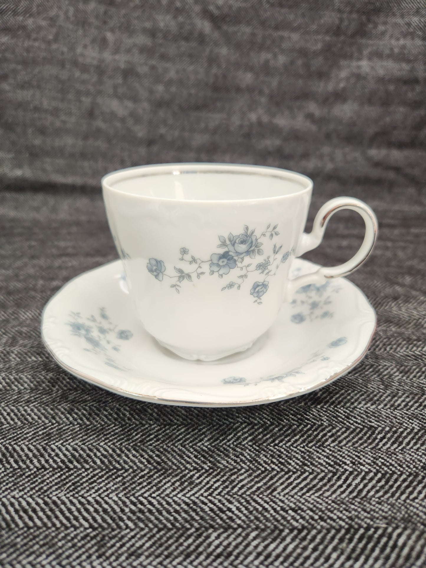 Blue Garland by JOHANN HAVILAND Flat Cup & Saucer (Bavaria Backstamp)