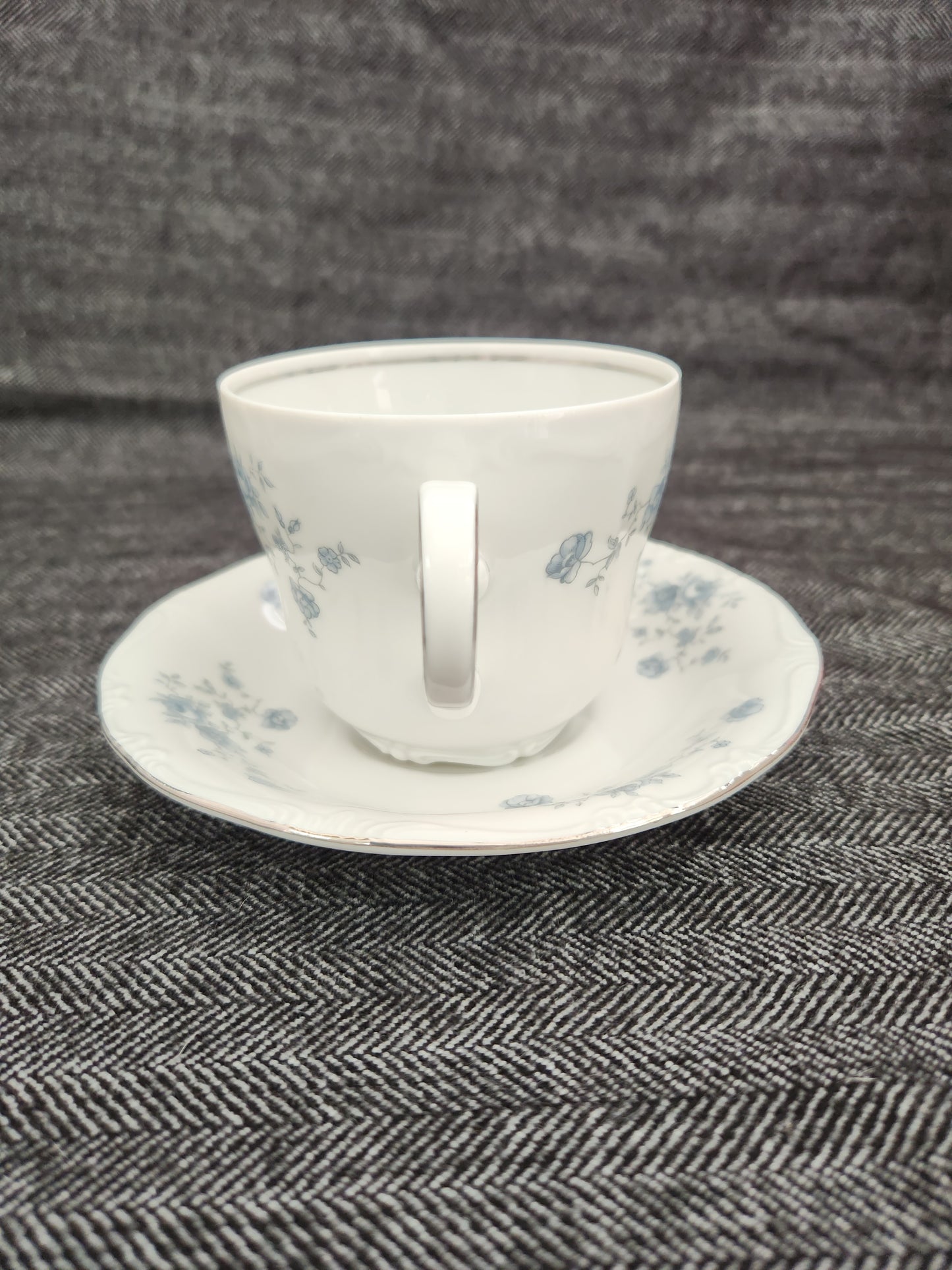 Blue Garland by JOHANN HAVILAND Flat Cup & Saucer (Bavaria Backstamp)