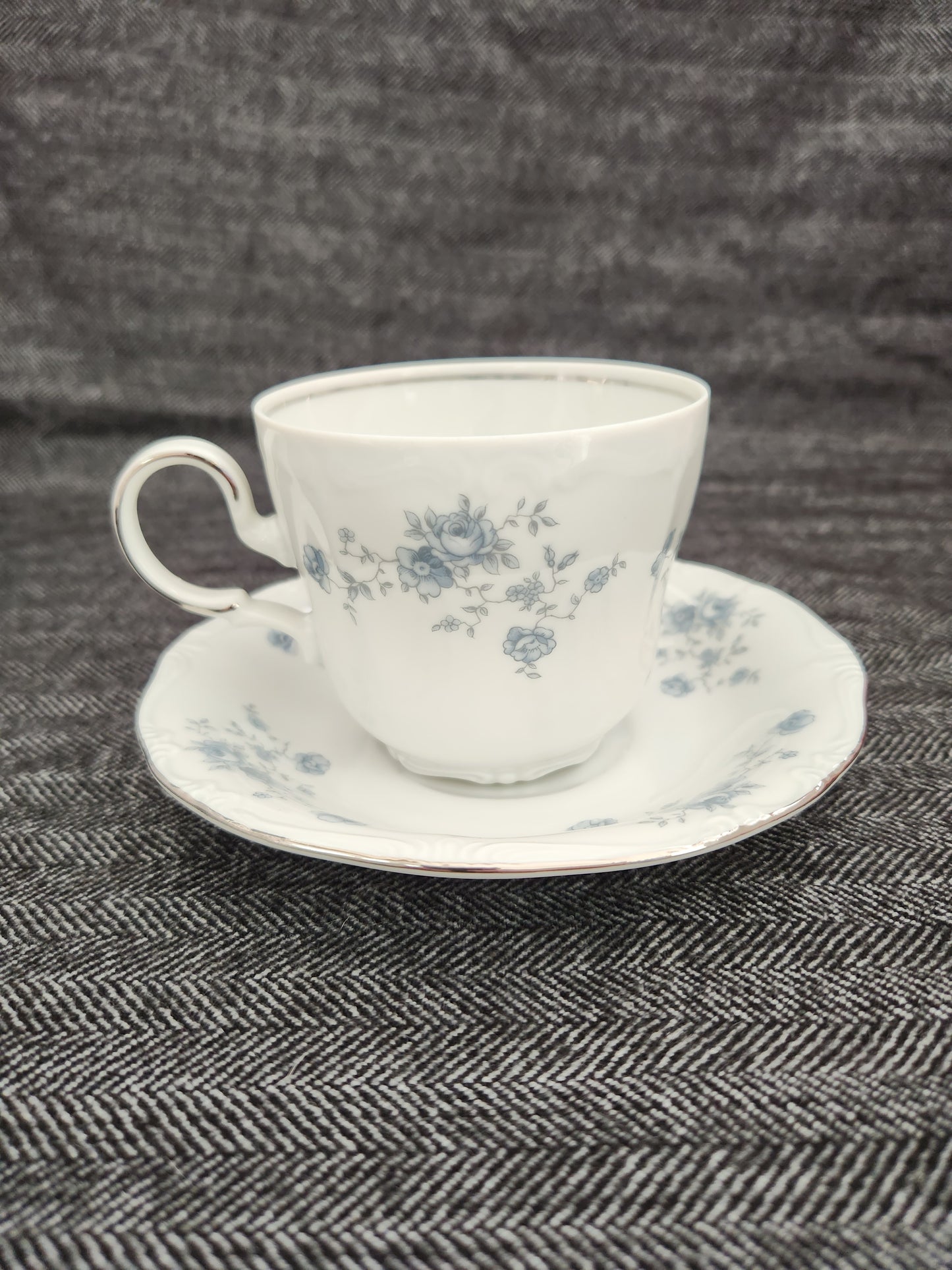 Blue Garland by JOHANN HAVILAND Flat Cup & Saucer (Bavaria Backstamp)