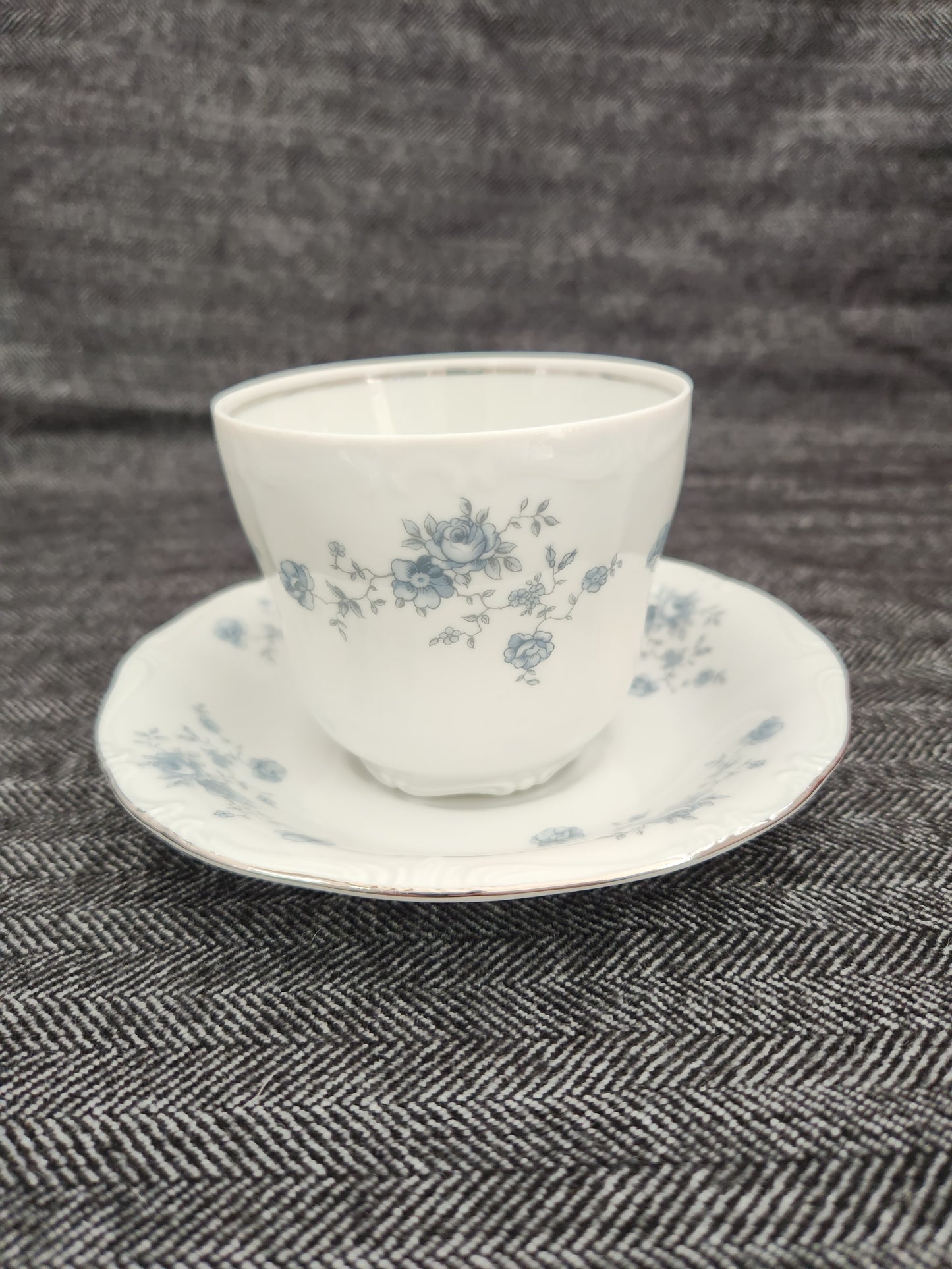 Blue Garland by JOHANN HAVILAND Flat Cup & Saucer (Bavaria Backstamp)