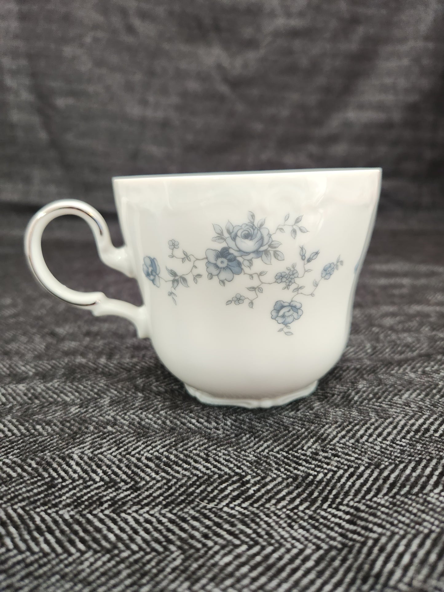 Blue Garland by JOHANN HAVILAND Flat Cup & Saucer (Bavaria Backstamp)