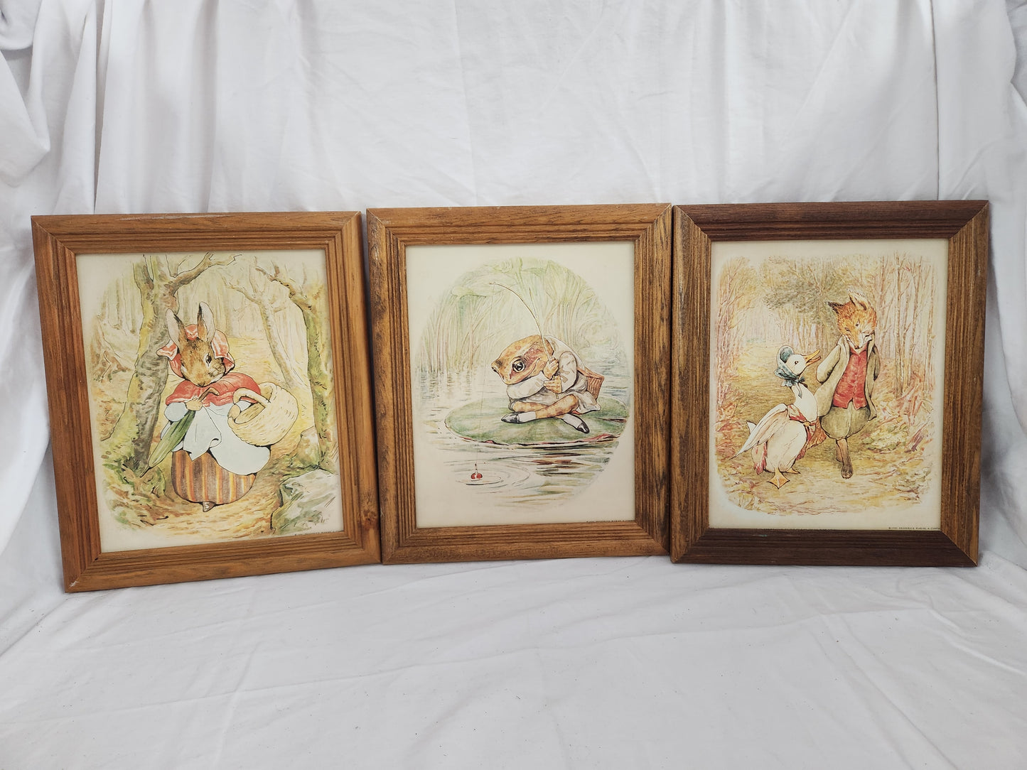 Lot of 3 - Vintage Frederick Warne & Company Framed Prints