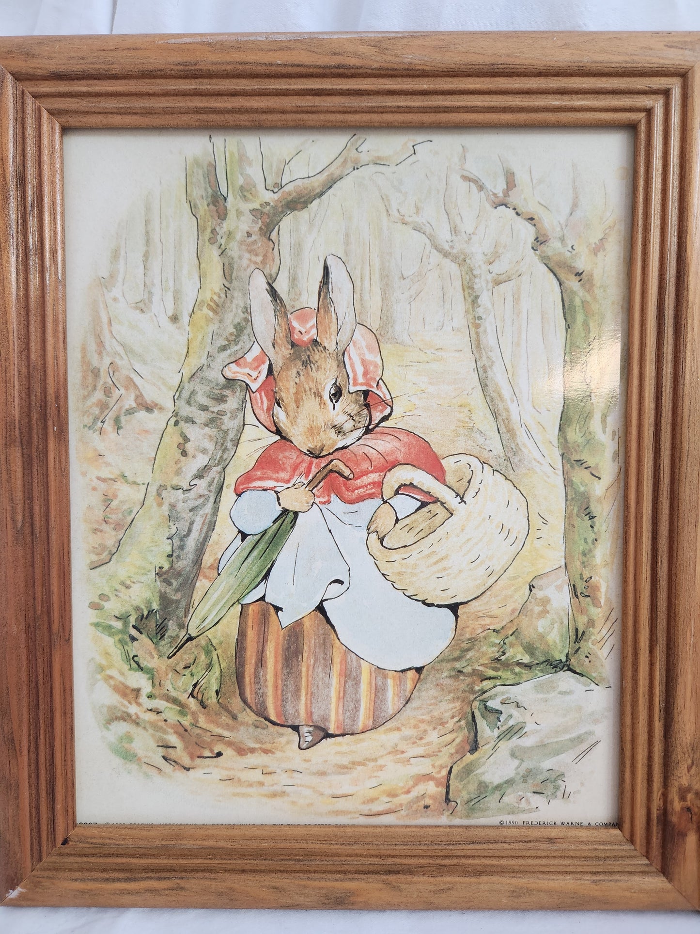 Lot of 3 - Vintage Frederick Warne & Company Framed Prints