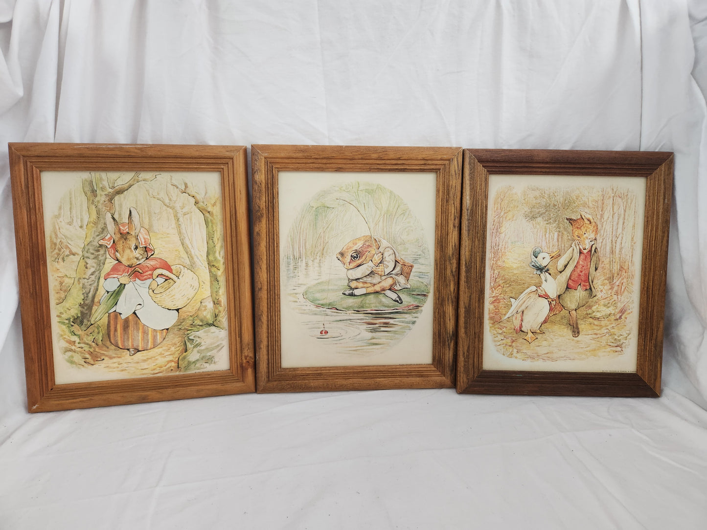 Lot of 3 - Vintage Frederick Warne & Company Framed Prints