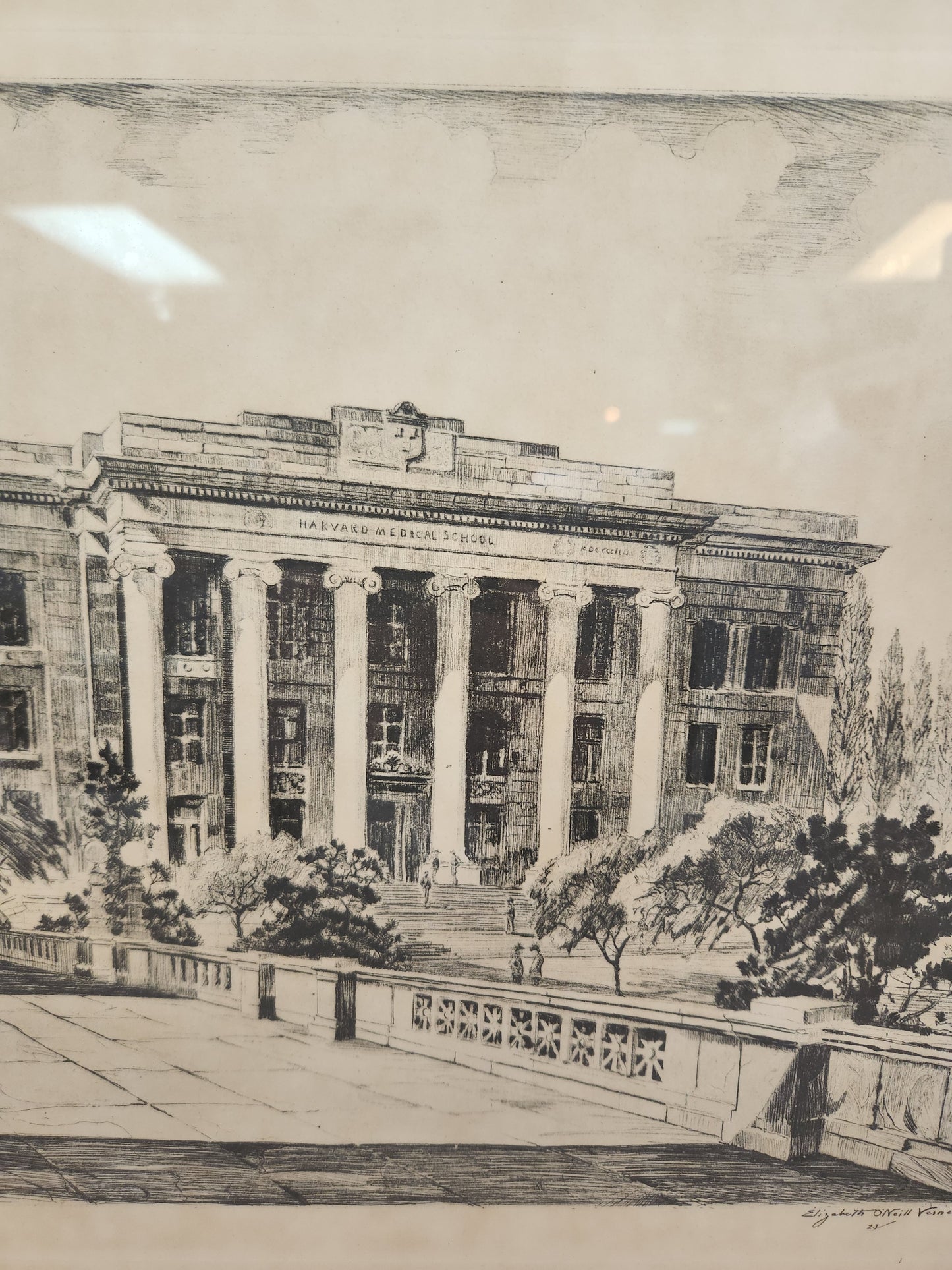 1930s Elizabeth O’Neill Verner Harvard Medical School Lithograph Print