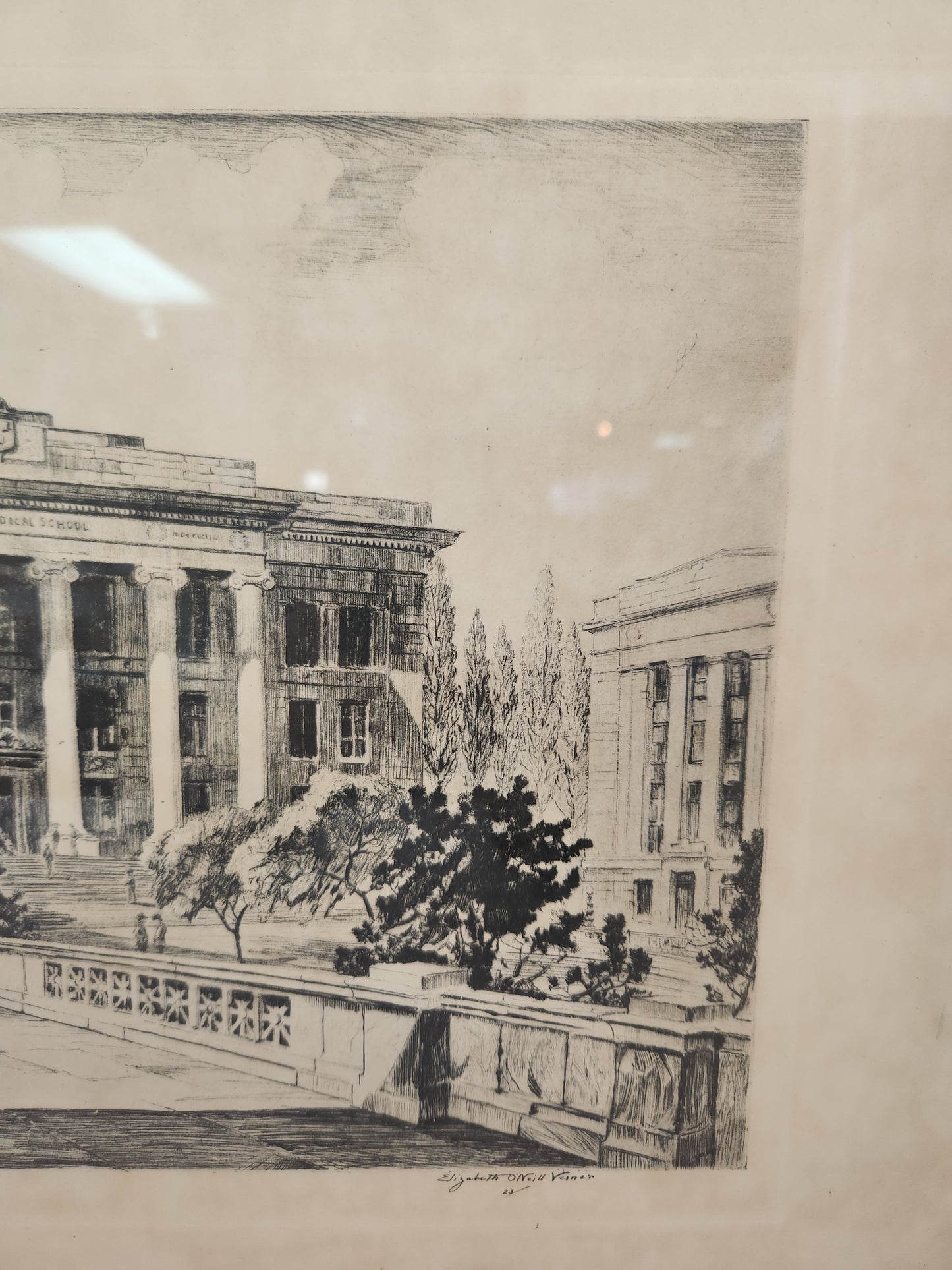 1930s Elizabeth O’Neill Verner Harvard Medical School Lithograph Print
