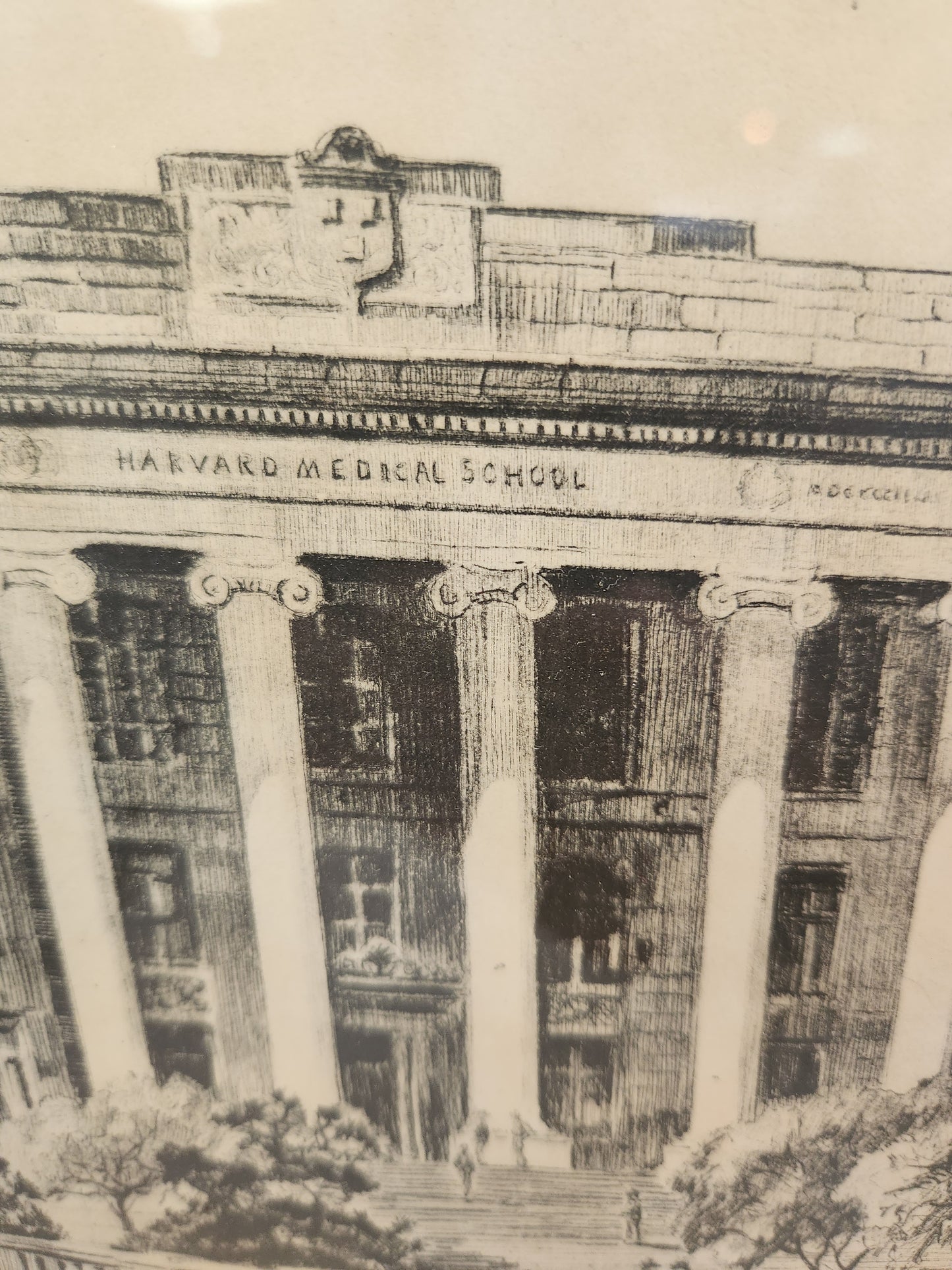 1930s Elizabeth O’Neill Verner Harvard Medical School Lithograph Print