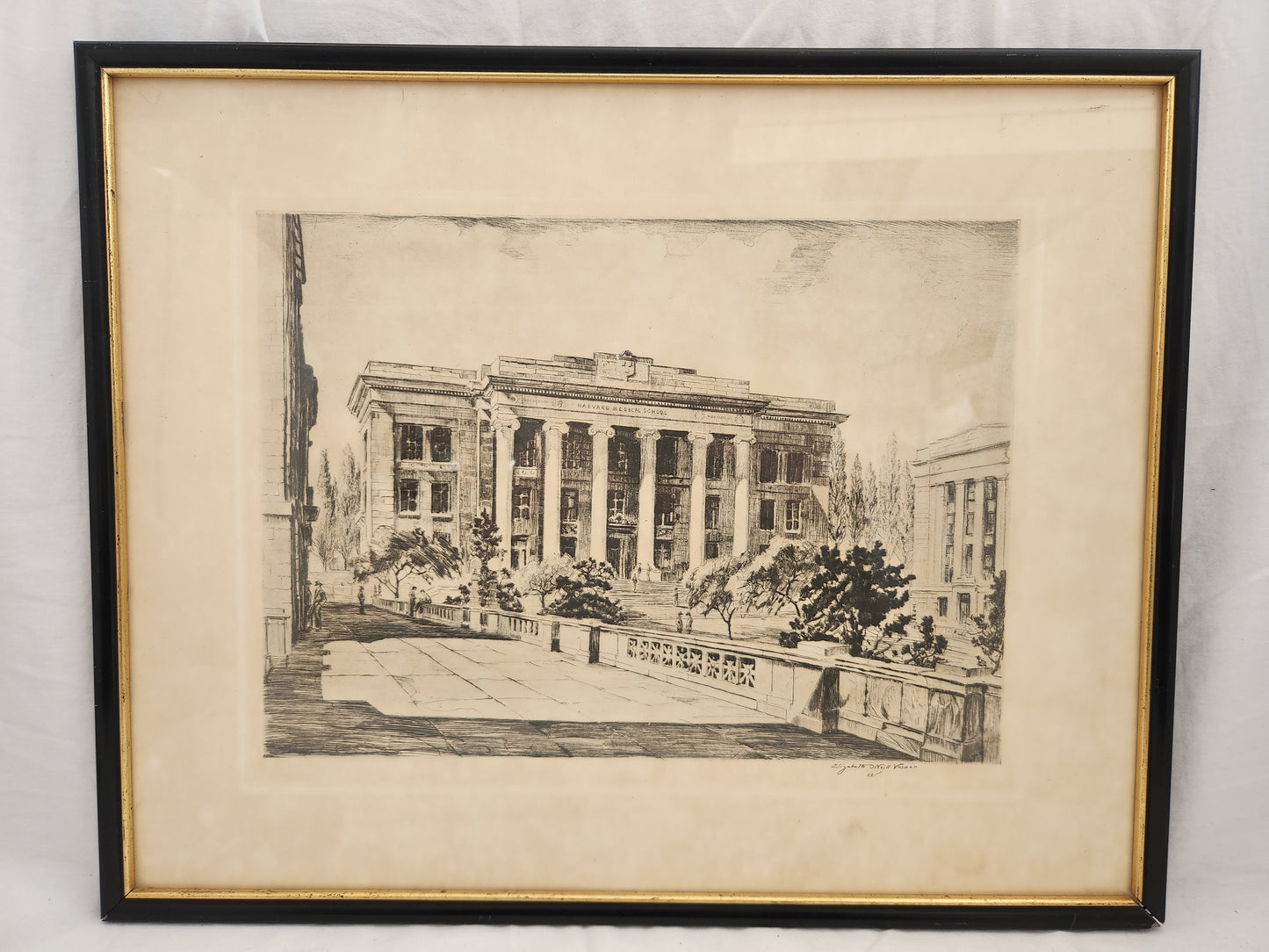 1930s Elizabeth O’Neill Verner Harvard Medical School Lithograph Print