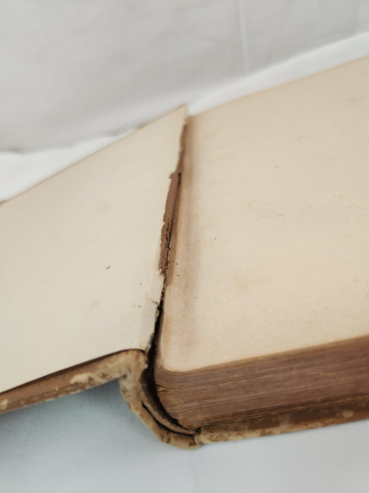 Rare - Milton's Paradise Lost, Illustrated by Gustave Dore, Altemus Edition (undated)