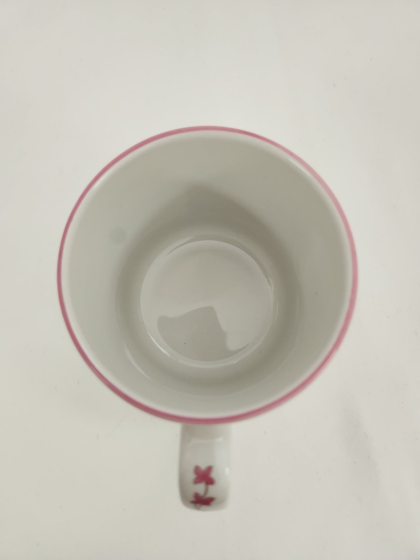 Williamsburg Reserve Collection "Pearl River" Mug by Spode #S3714 (flaw)