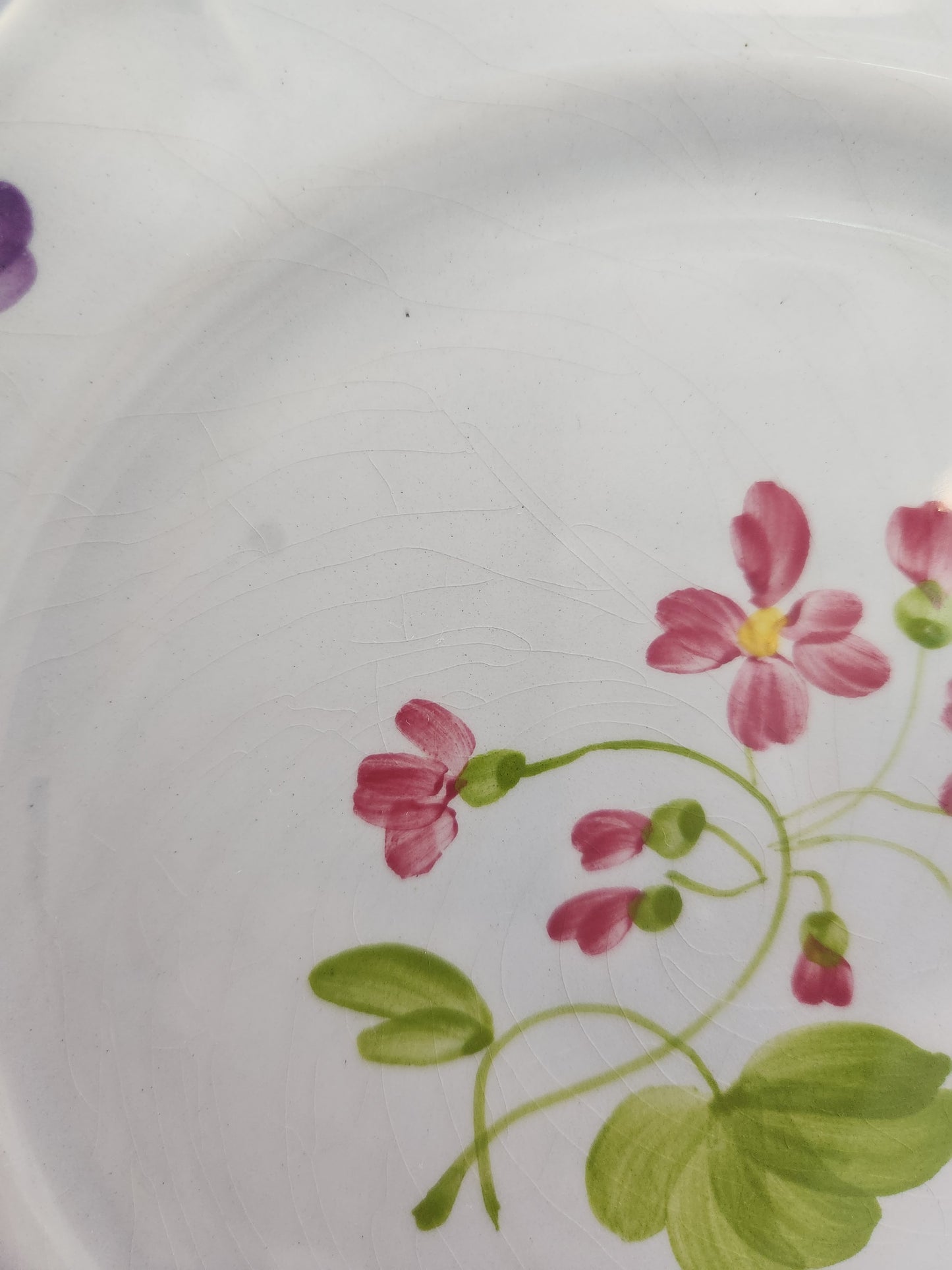 Longchamp Mon Jardin 7-1/2" Salad Plate (crazing)