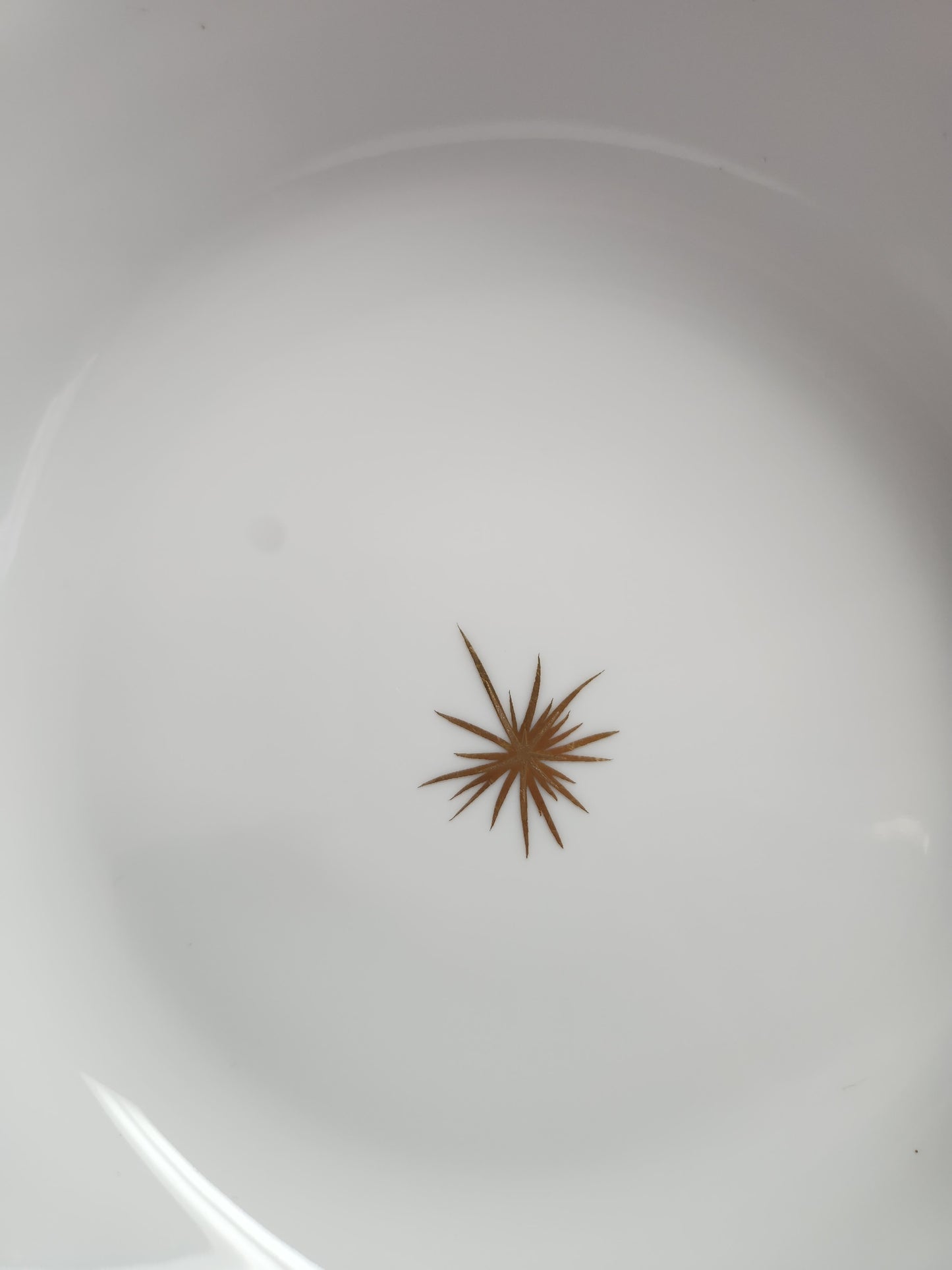 Bernardaud 9-1/2" Gala Gold Open Vegetable Bowl