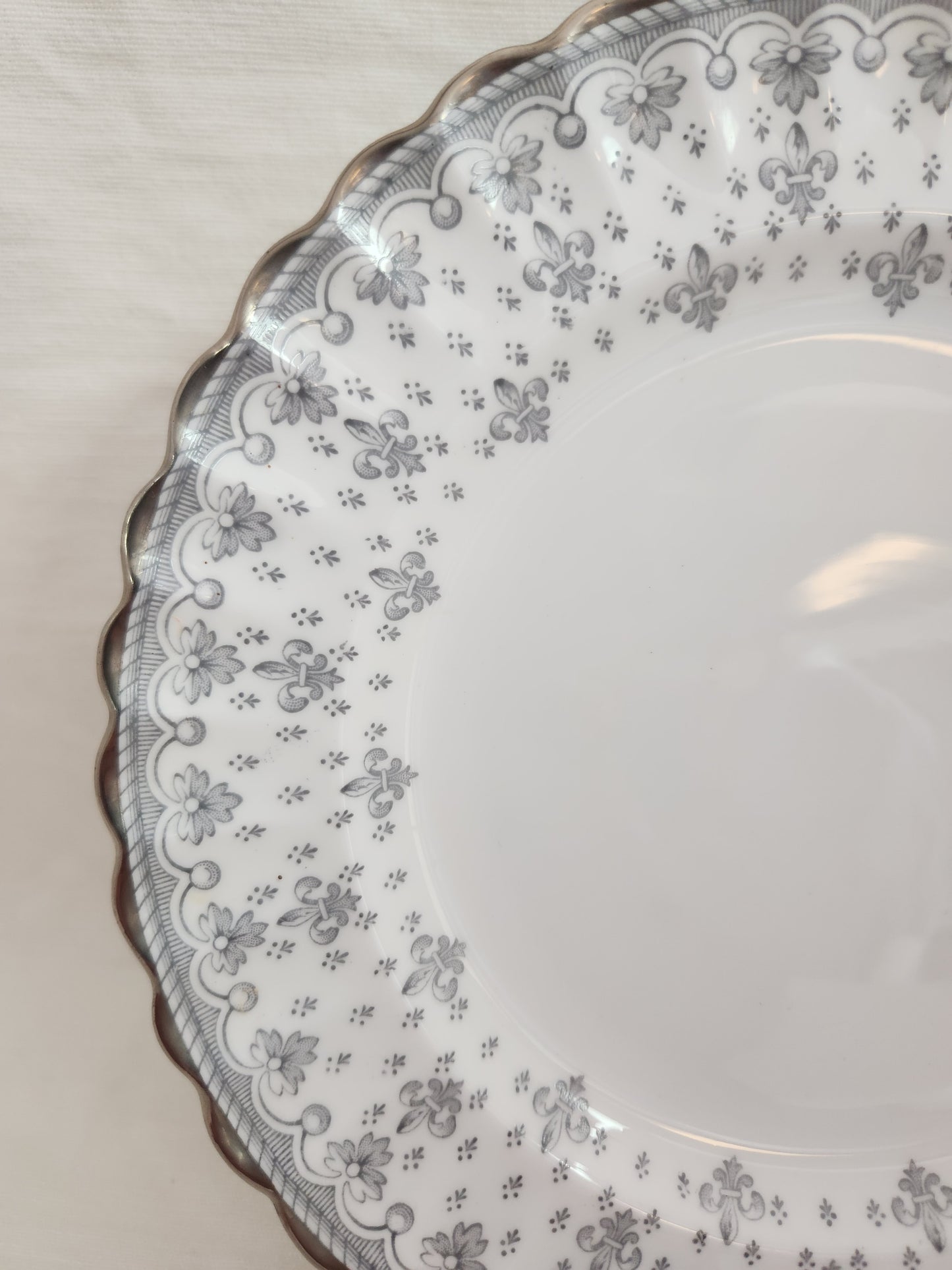 Fleur de Lys Grey 7-7/8" Salad Plate by Spode (Bone, Platinum Trim) - Y7515
