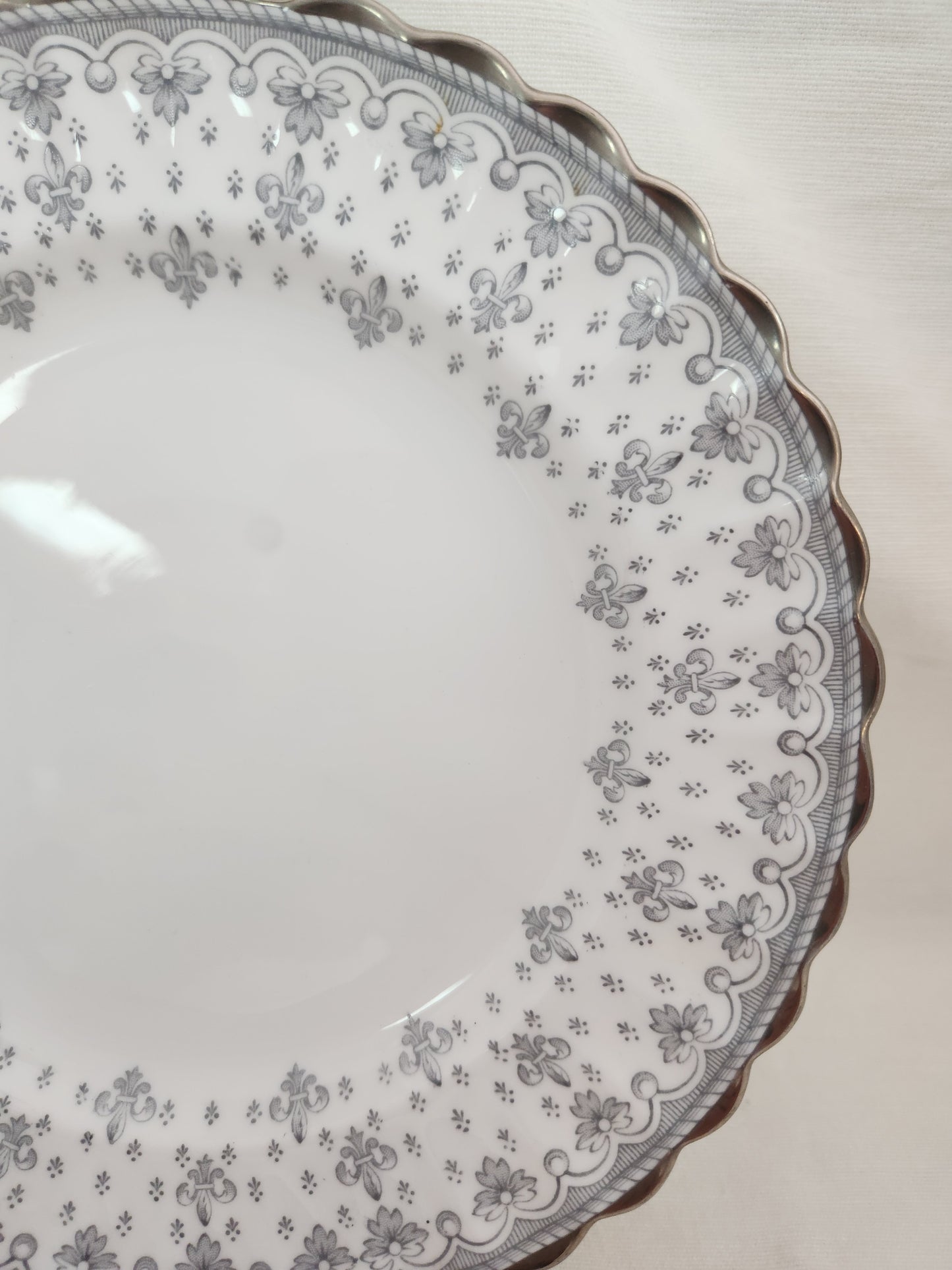 Fleur de Lys Grey 7-7/8" Salad Plate by Spode (Bone, Platinum Trim) - Y7515