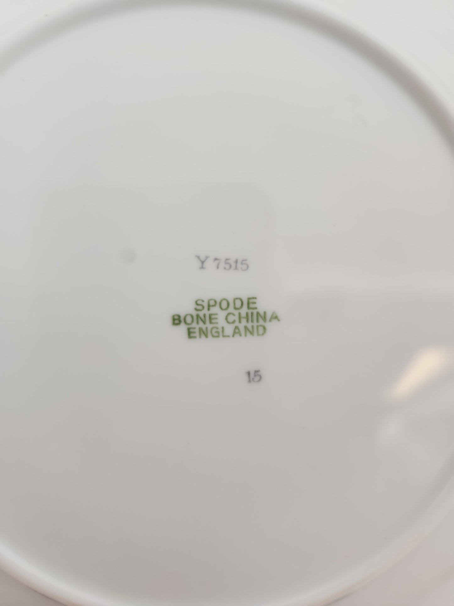 Fleur de Lys Grey 7-7/8" Salad Plate by Spode (Bone, Platinum Trim) - Y7515