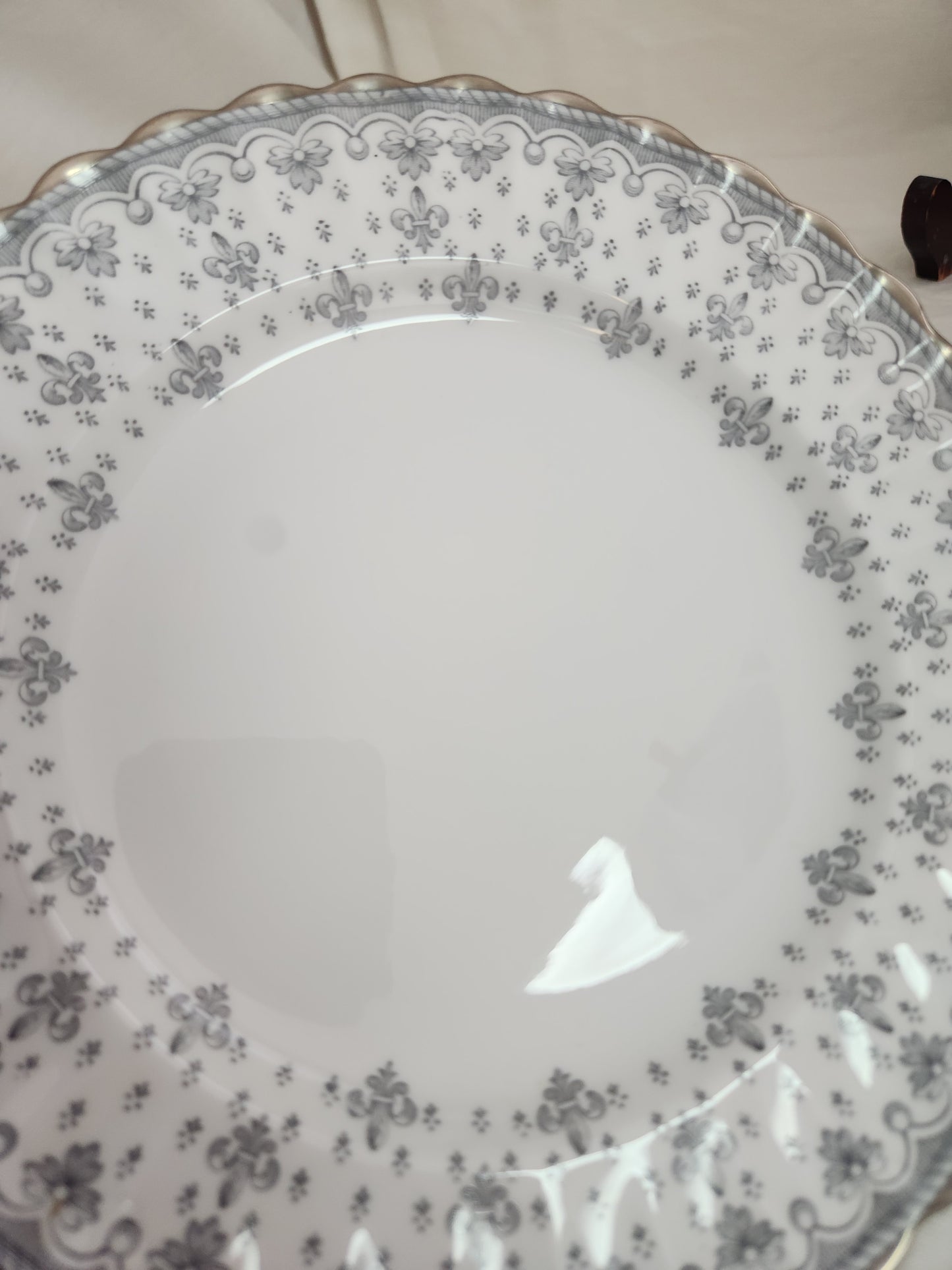 Fleur de Lys Grey 7-7/8" Salad Plate by Spode (Bone, Platinum Trim) - Y7515