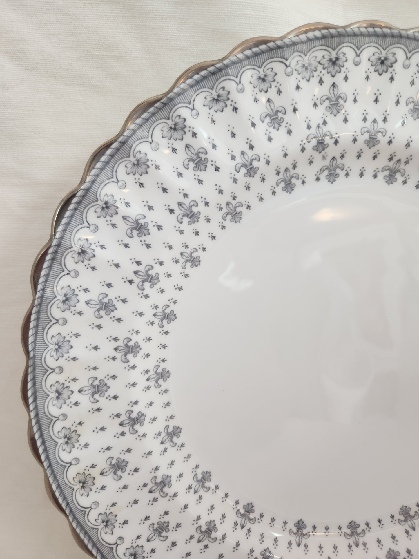 Fleur de Lys Grey 10-5/8" Dinner Plate by Spode (Bone, Platinum Trim) - Y7515