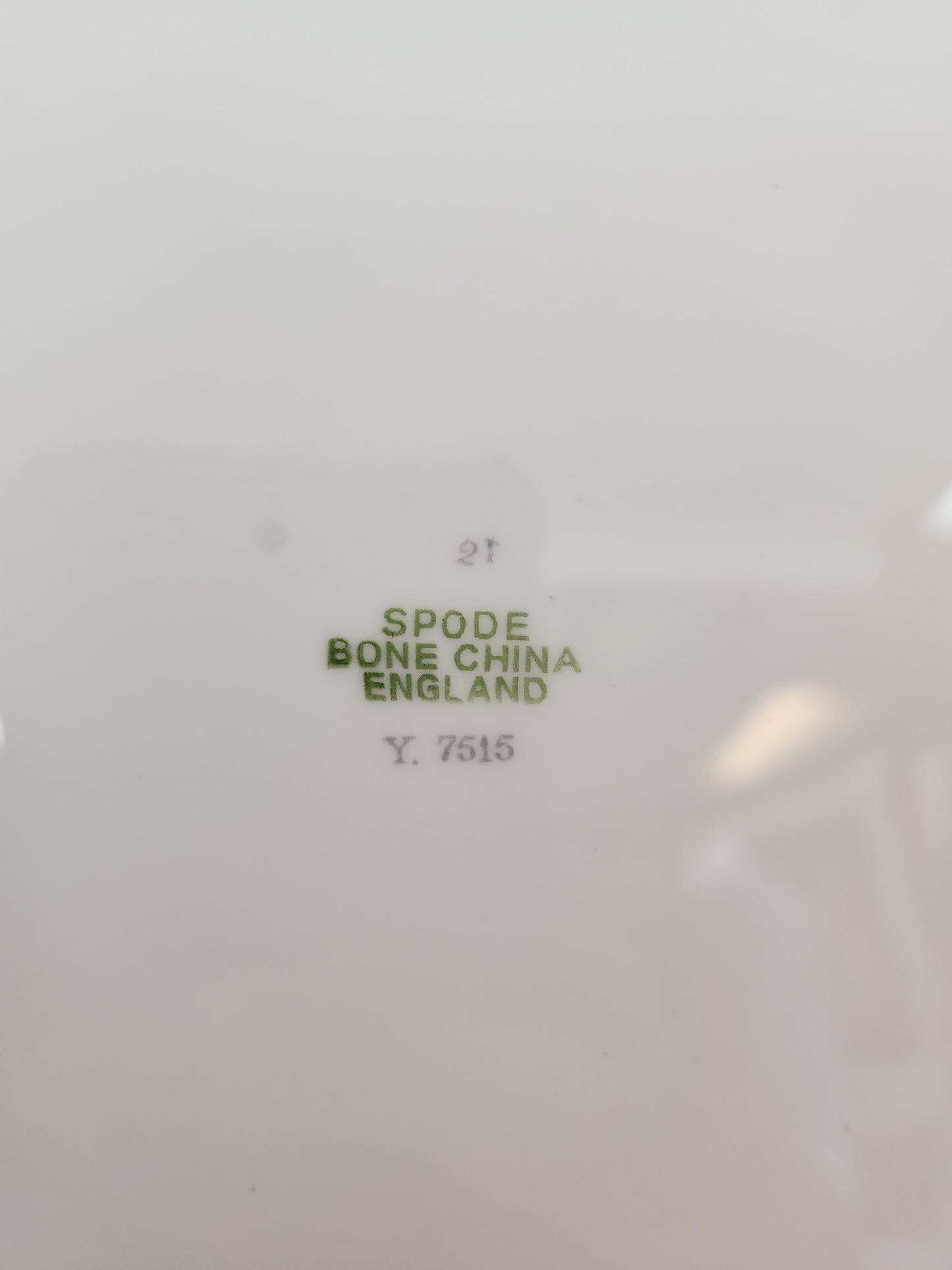 Fleur de Lys Grey 10-5/8" Dinner Plate by Spode (Bone, Platinum Trim) - Y7515