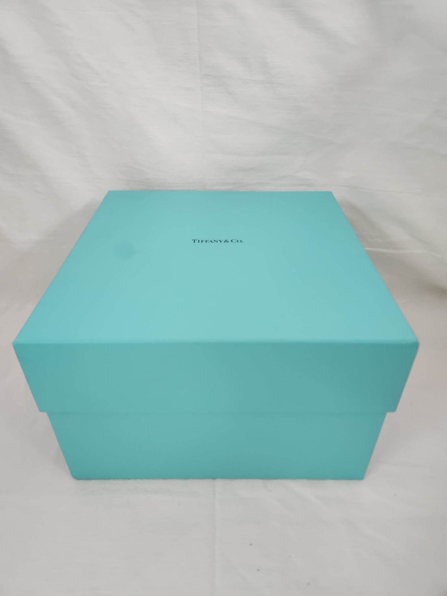 Tiffany & Co. Elsa Peretti® Leather Backpack with Box