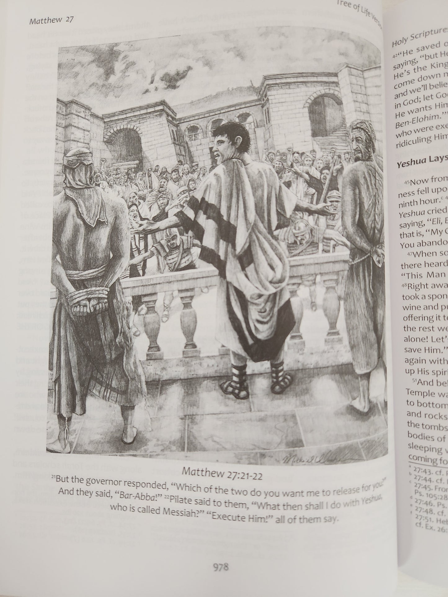 Tree of Life Heritage Bible : Illustrated (Messianic Jewish Family Bible Society)