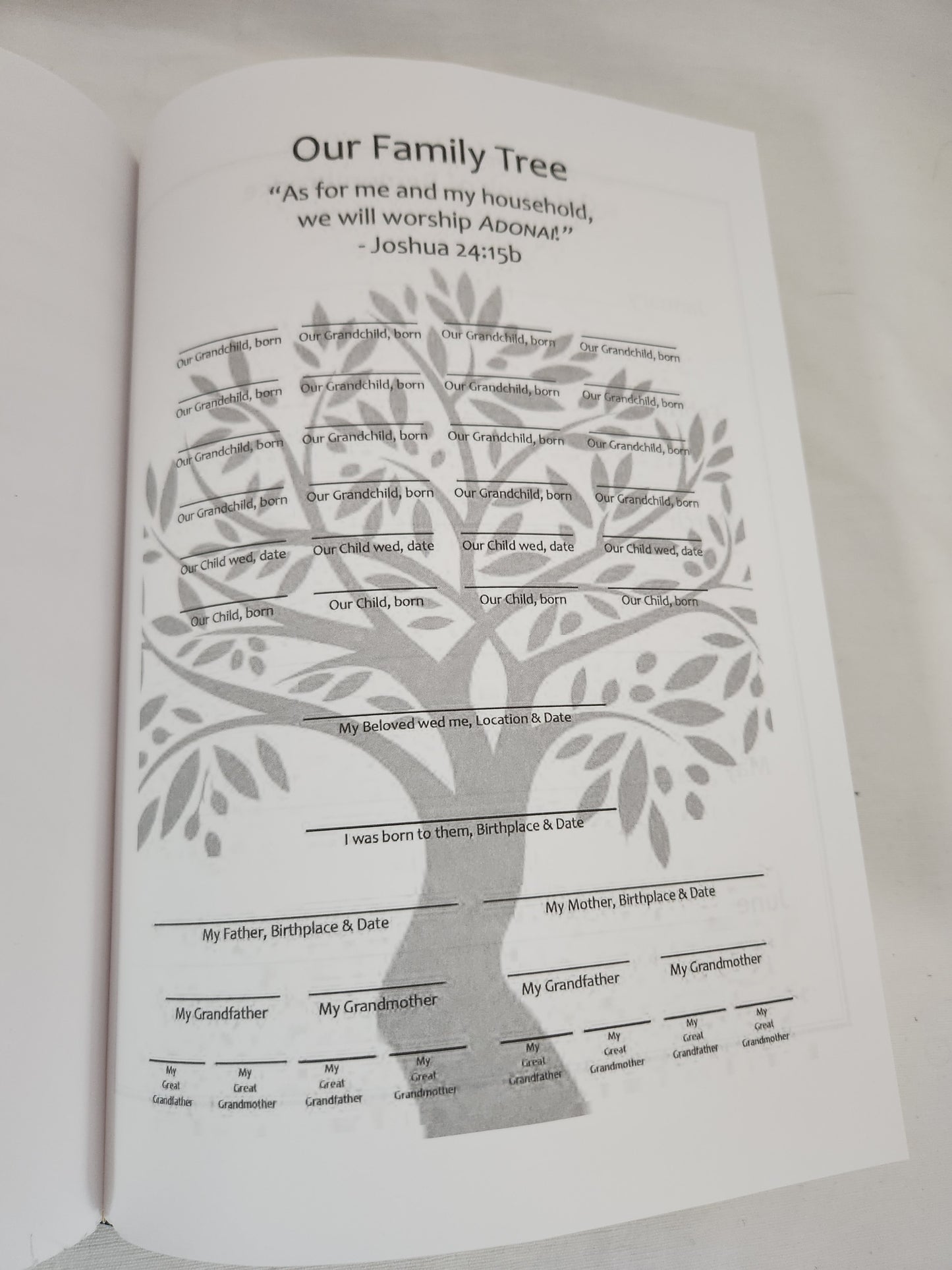 Tree of Life Heritage Bible : Illustrated (Messianic Jewish Family Bible Society)