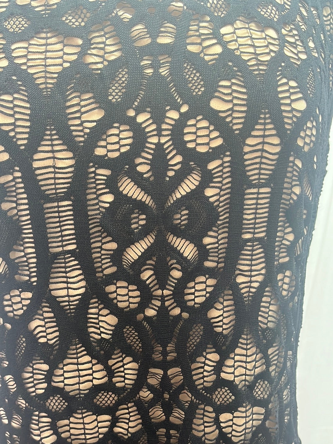 NWT -- CONNECTED Petites black Lace Sleeveless Sheath Dress -- 12P