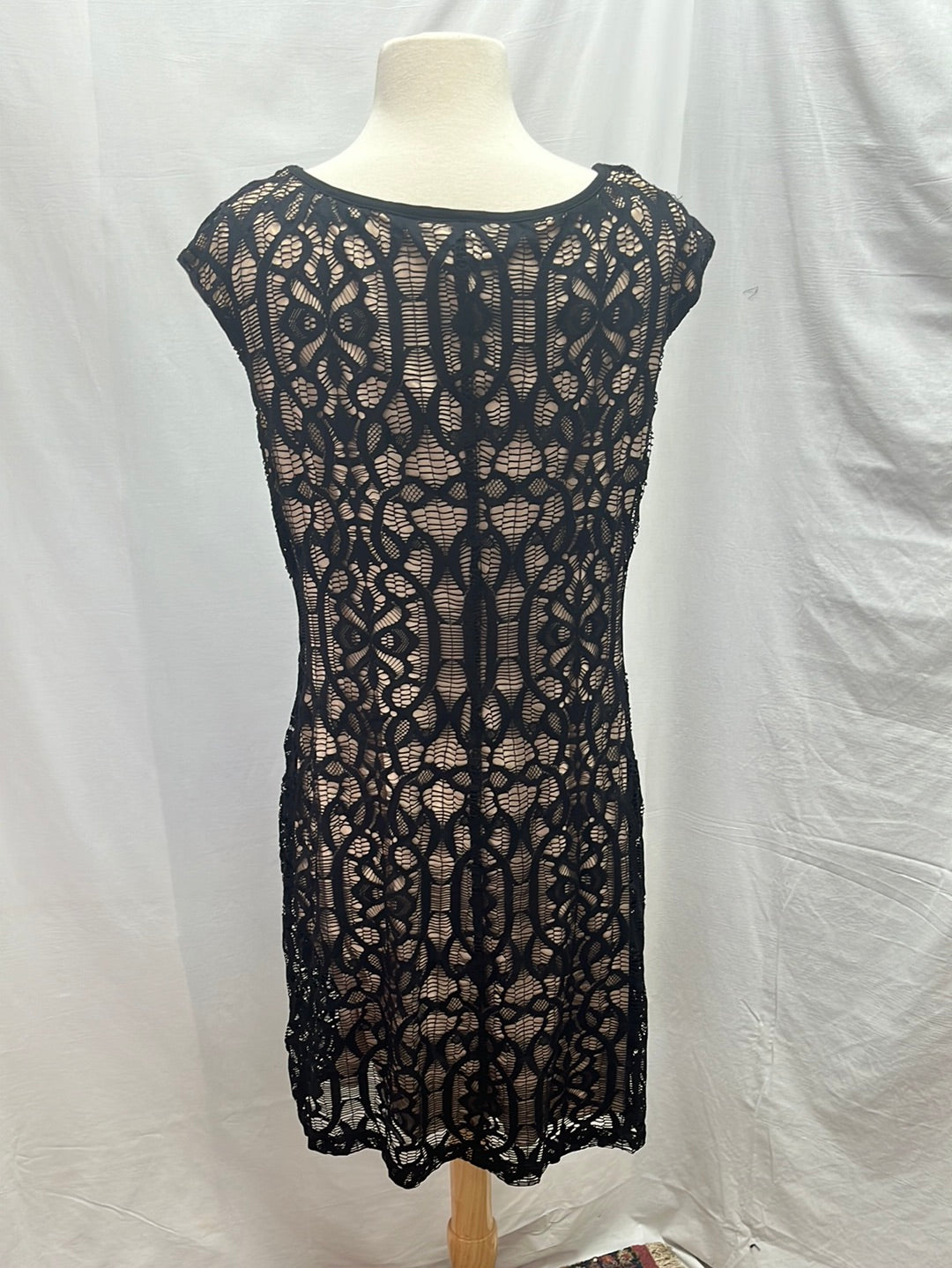 NWT -- CONNECTED Petites black Lace Sleeveless Sheath Dress -- 12P
