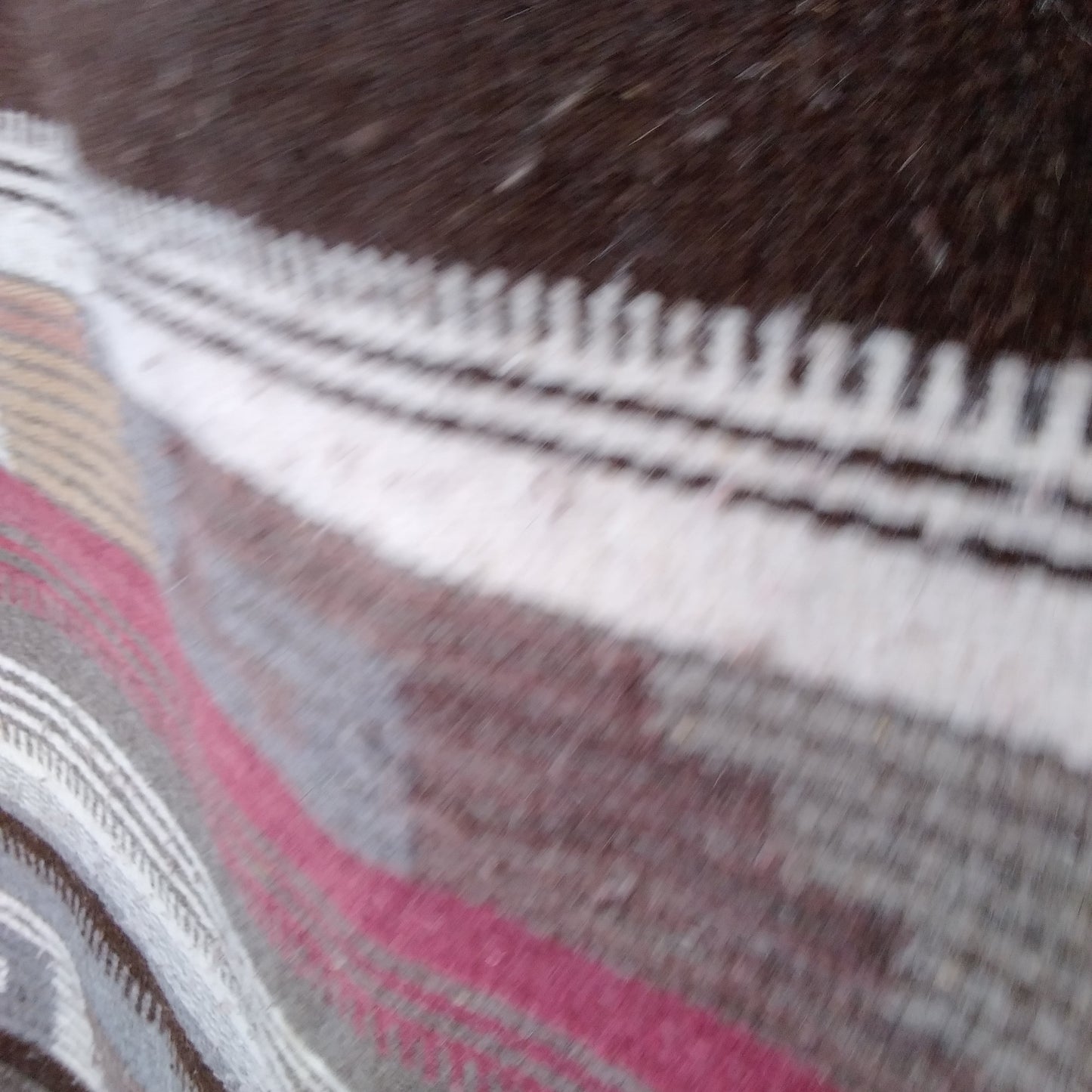 Handmade Zapotec Woven Rug 100% Pure Wool - (W) 29" × (L) 54"