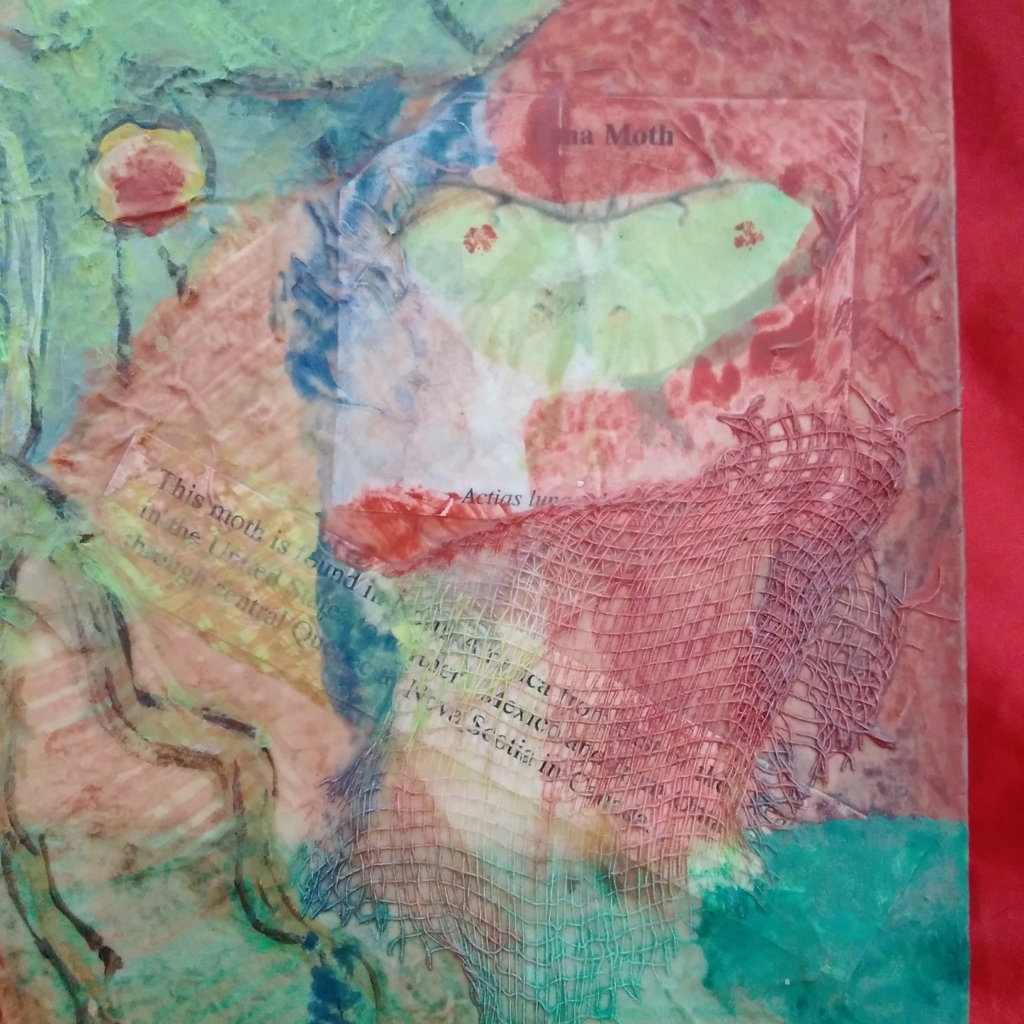 Original Painting "Green Luna Moth" by N.C Artist Kate Ladd