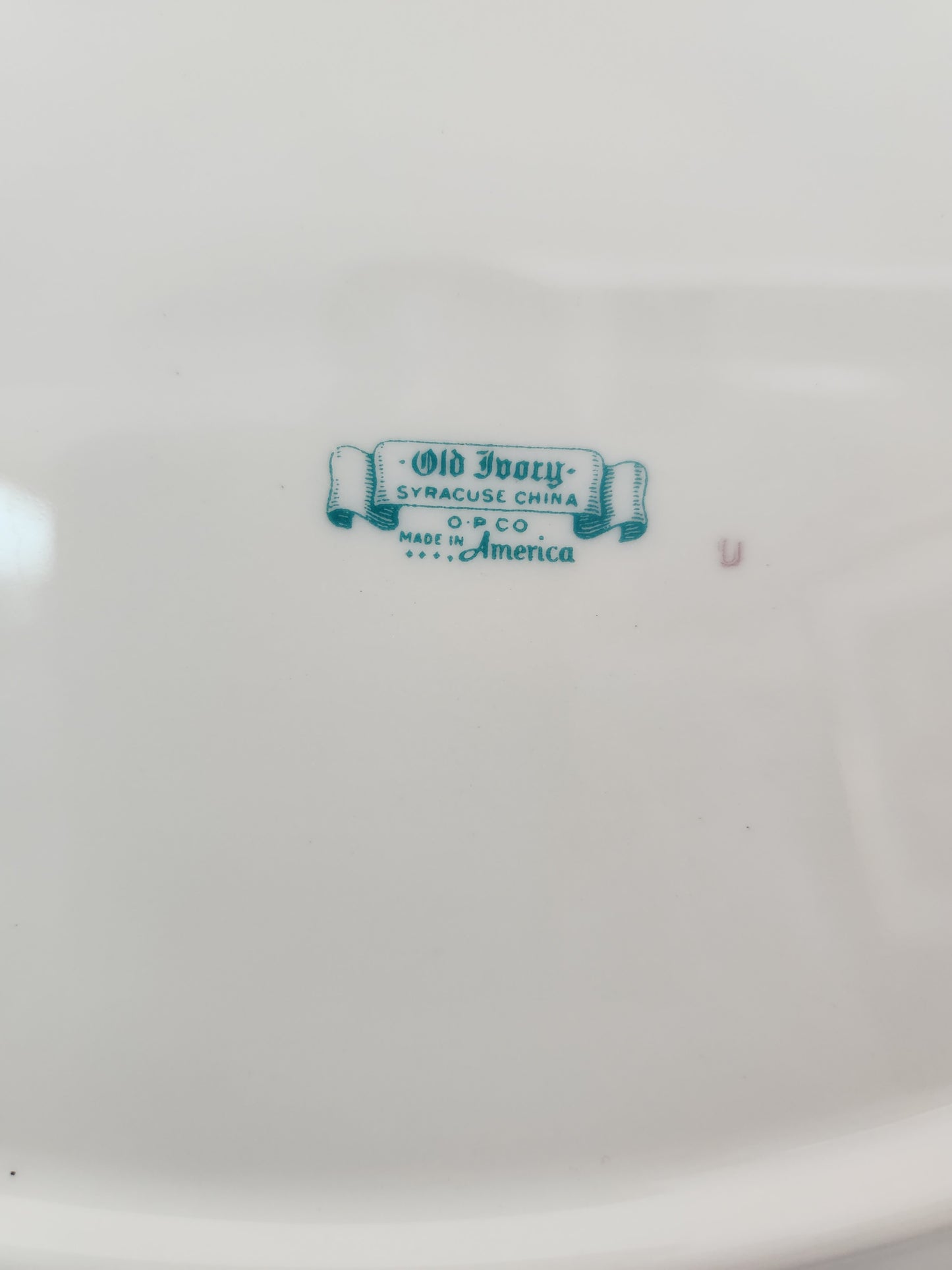 VTG - 12" Oval Serving Platter in Nimbus Platinum by Syracuse China