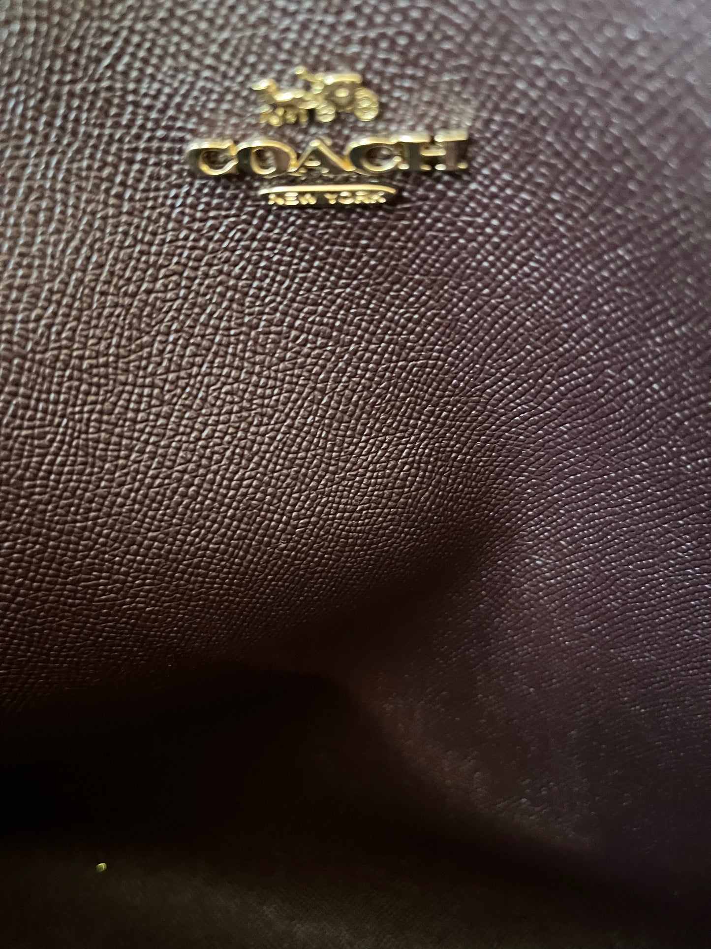 Coach Ribbon Bouquet Reversible City Tote-NWT