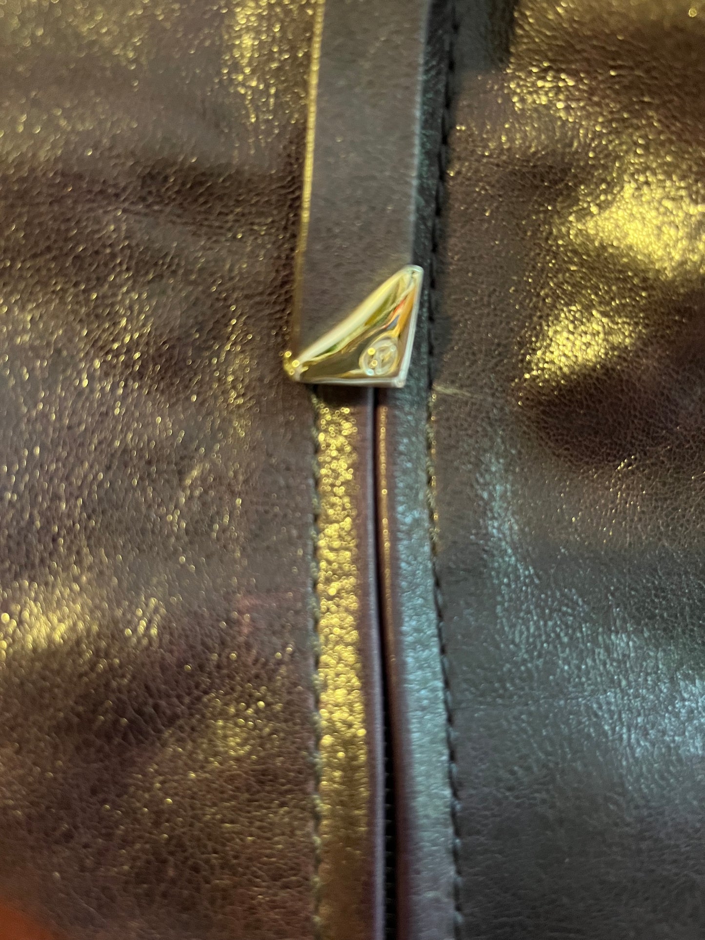 Dark Brown Leather Francesco Biasia Handbag