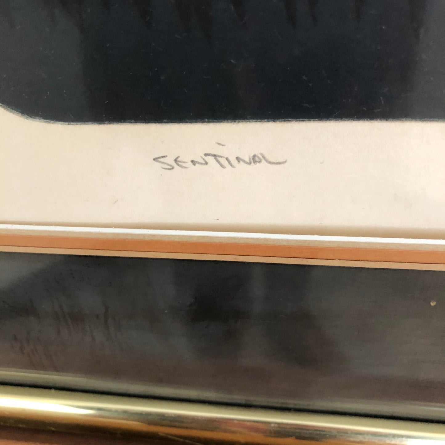 Fine Art-"Sentinal"