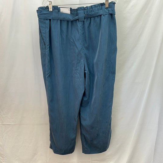 NWT -- Express Blue Linen High Rise Ankle Pants -- L
