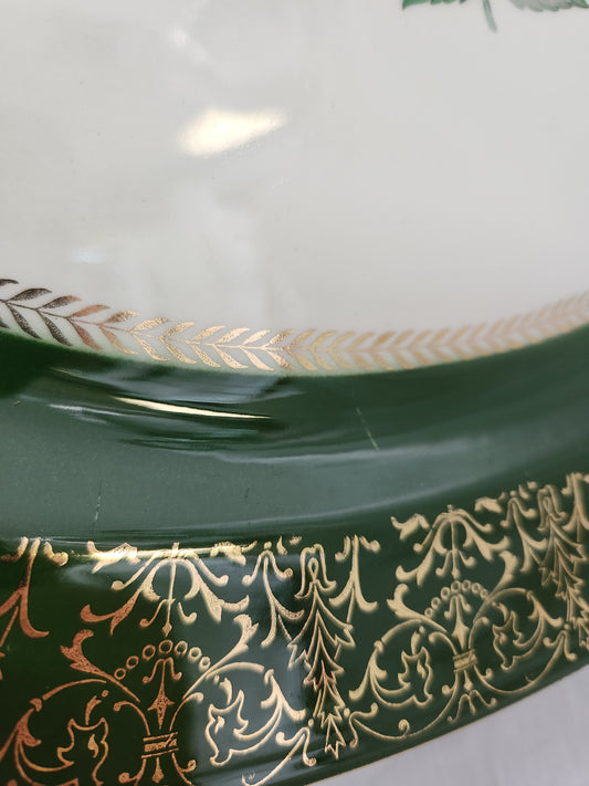 Nautilus Lady Greenbriar 15" Oval Serving Platter by Homer Laughlin
