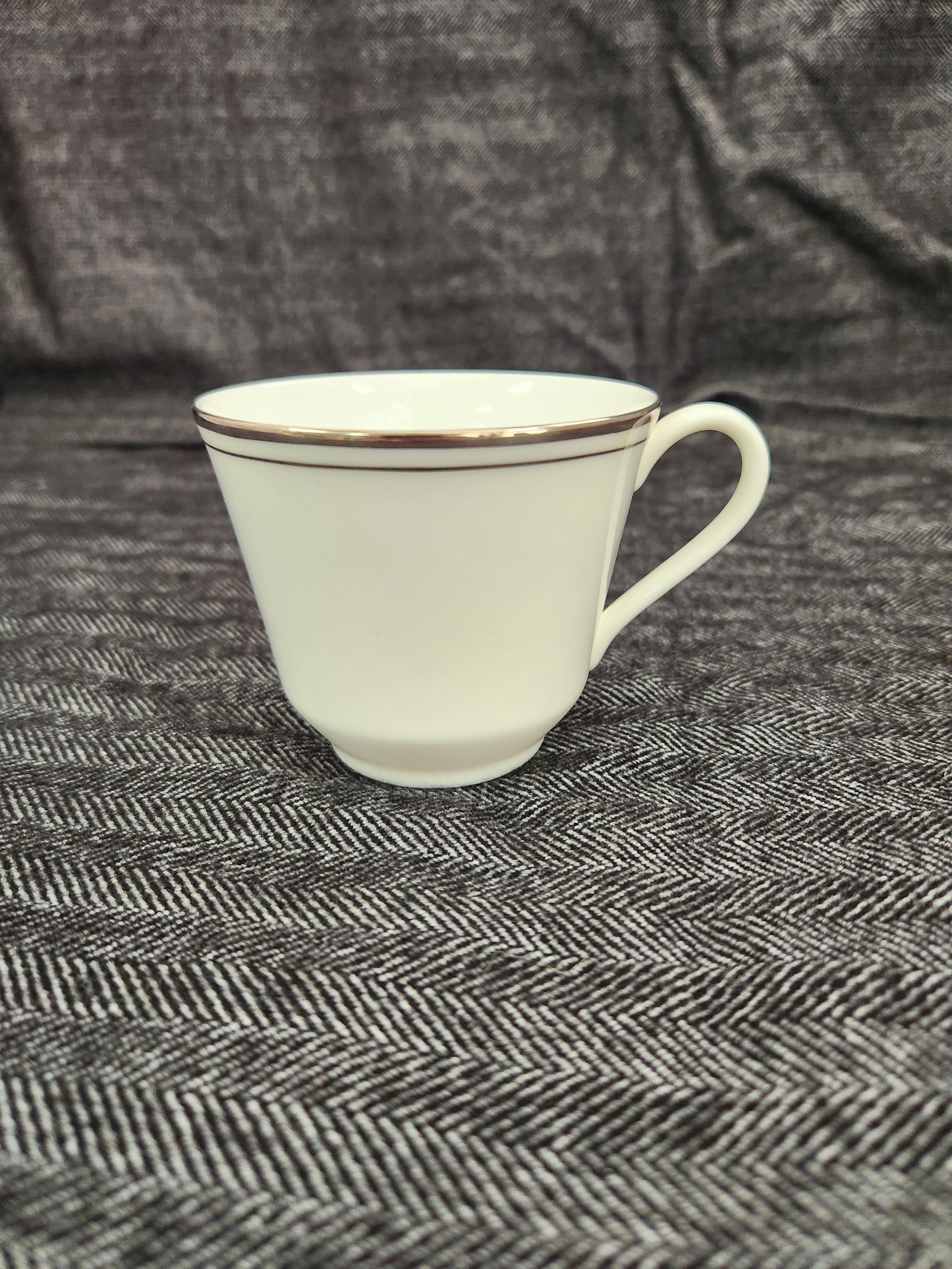 Concord Platinum Flat Cup by Royal Doulton - #H5048