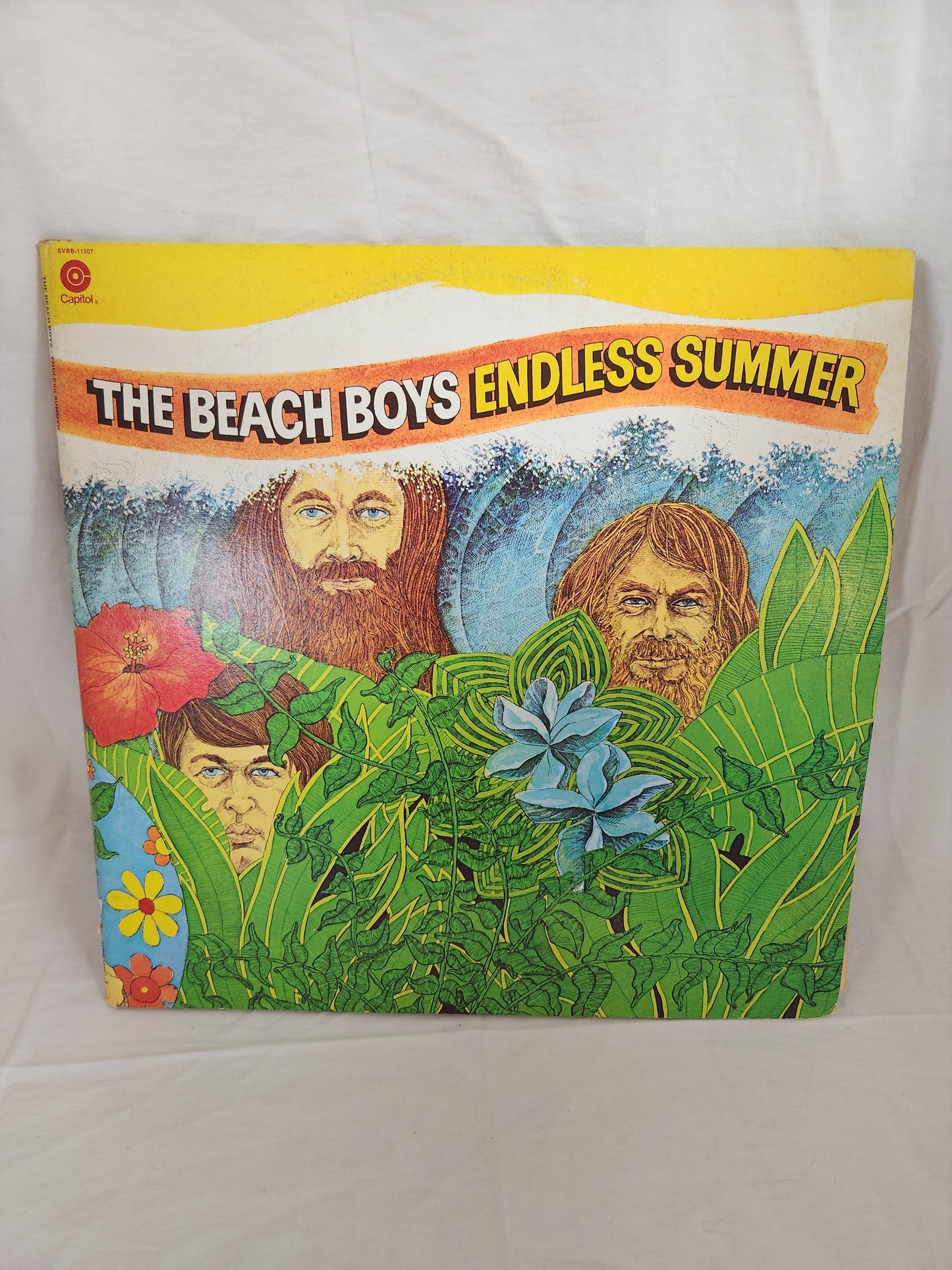 The Beach Boys: Endless Summer Vinyl Album