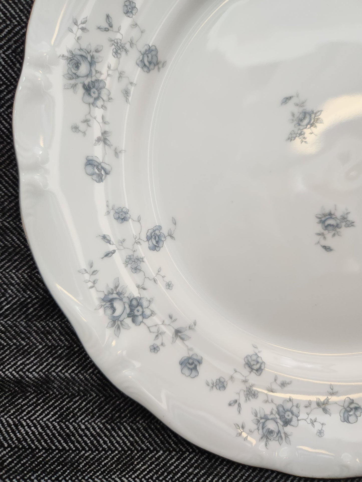 Blue Garland by JOHANN HAVILAND Dinner Plate (Bavaria Backstamp)