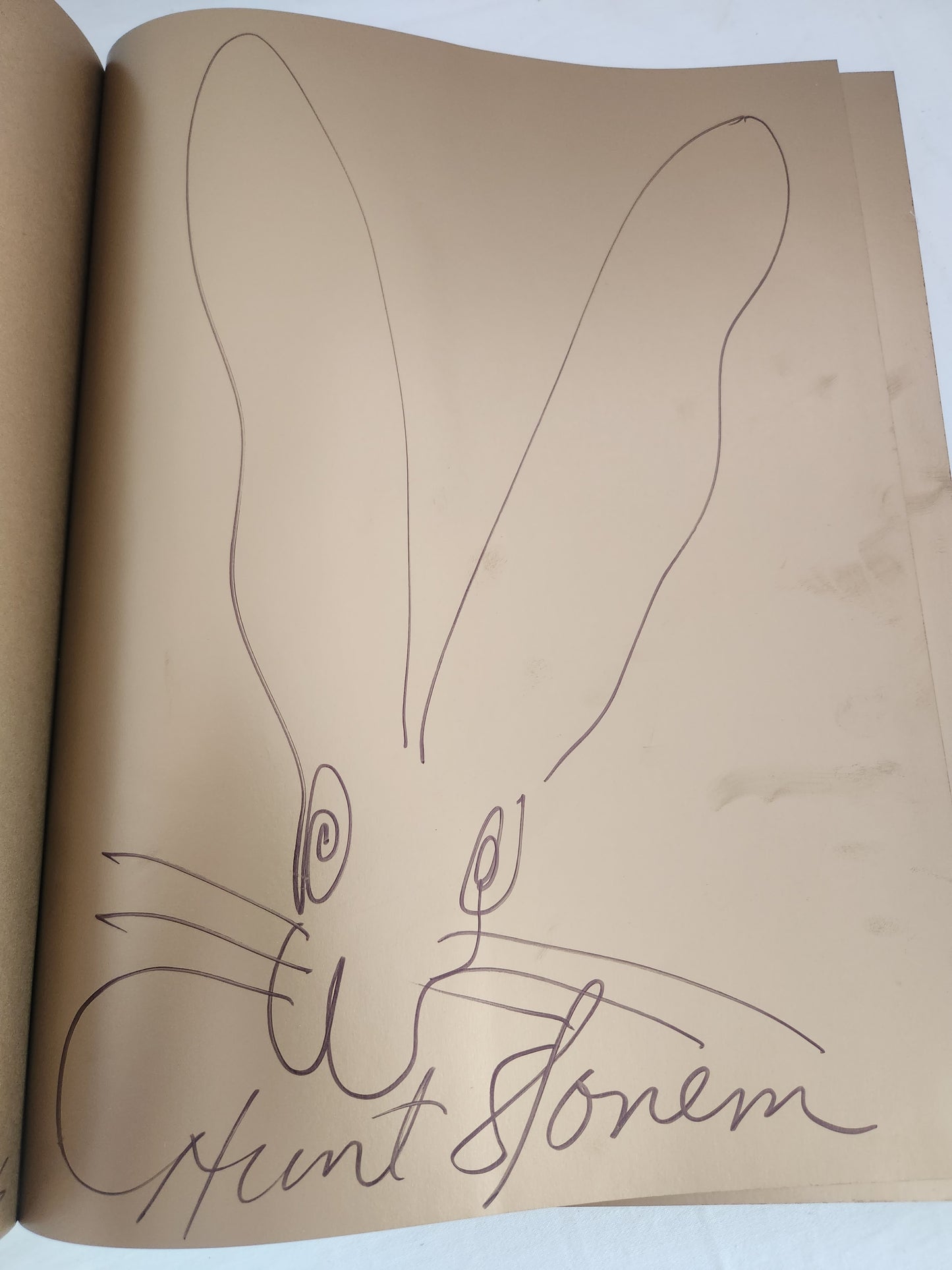 RARE - Bunnies by Hunt Slonem (Signed by Author)