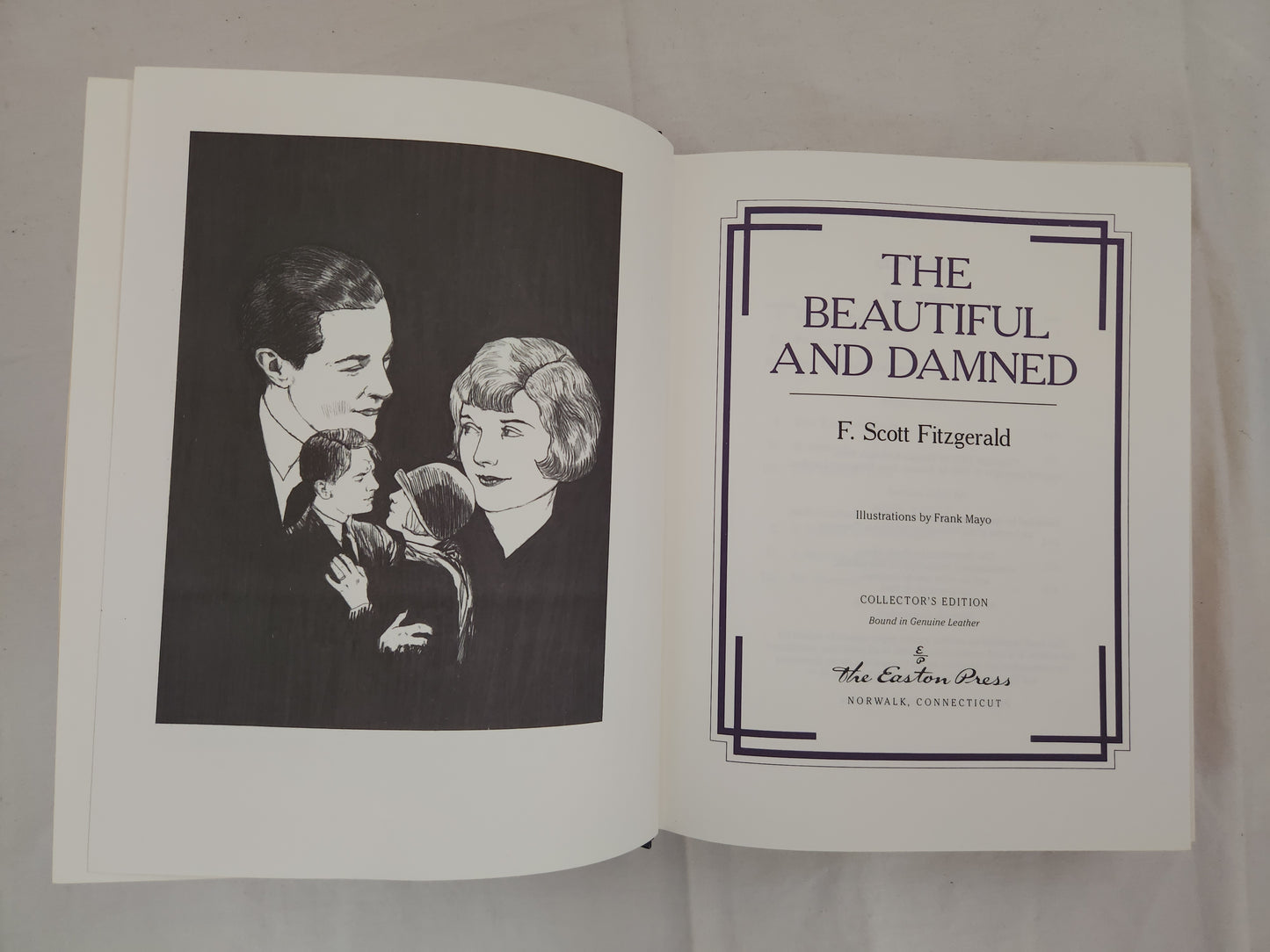 The Beautiful And Damned By F. Scott Fitzgerald - Leather Collector’s Edition