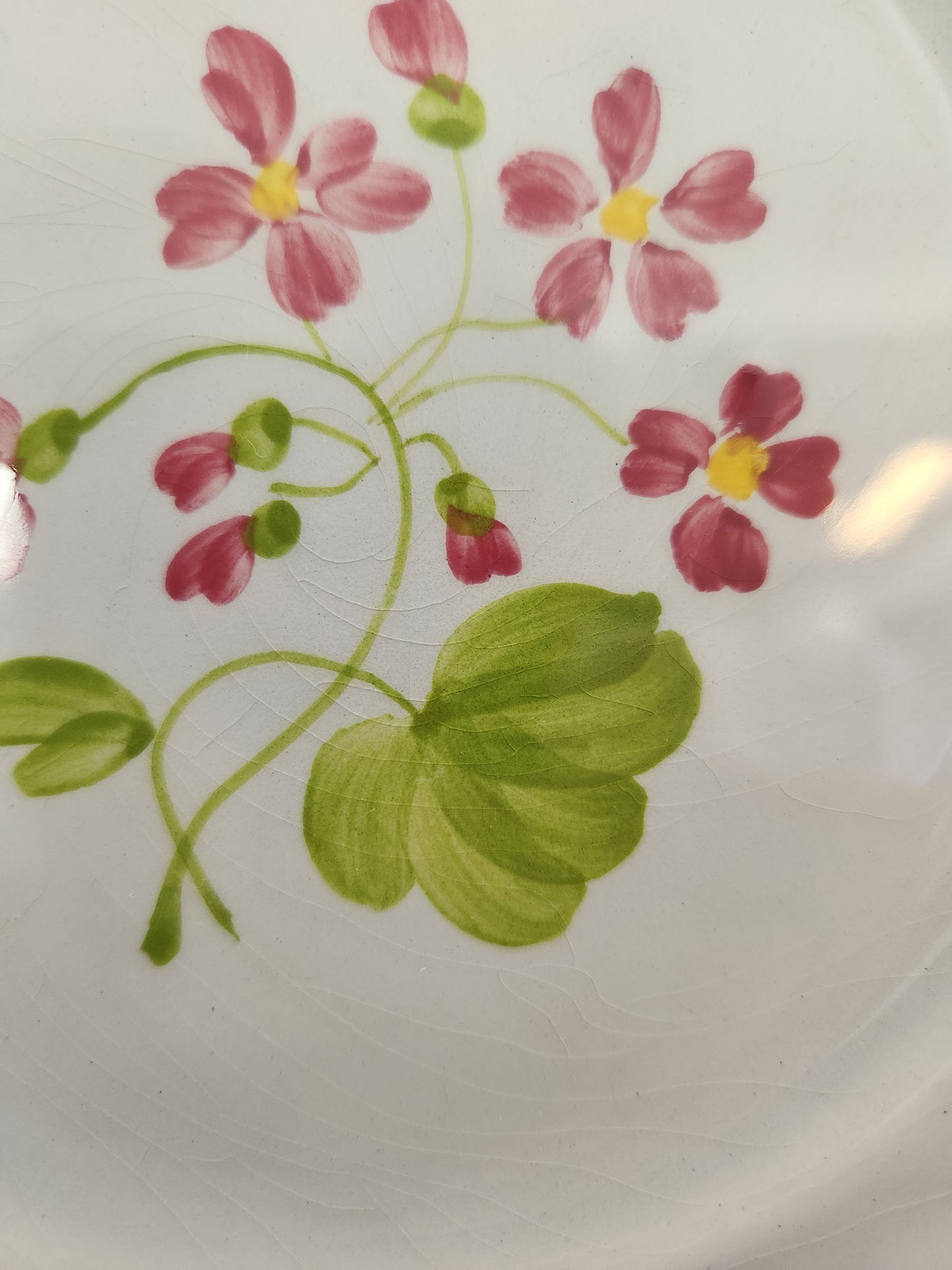 Longchamp Mon Jardin 7-1/2" Salad Plate (crazing)