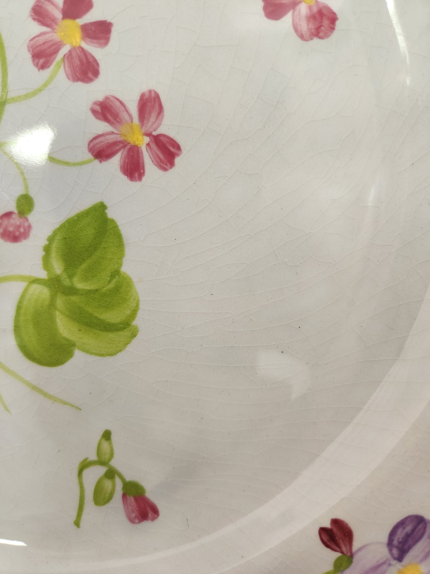 Longchamp Mon Jardin 10-1/8" Dinner Plate (crazing)