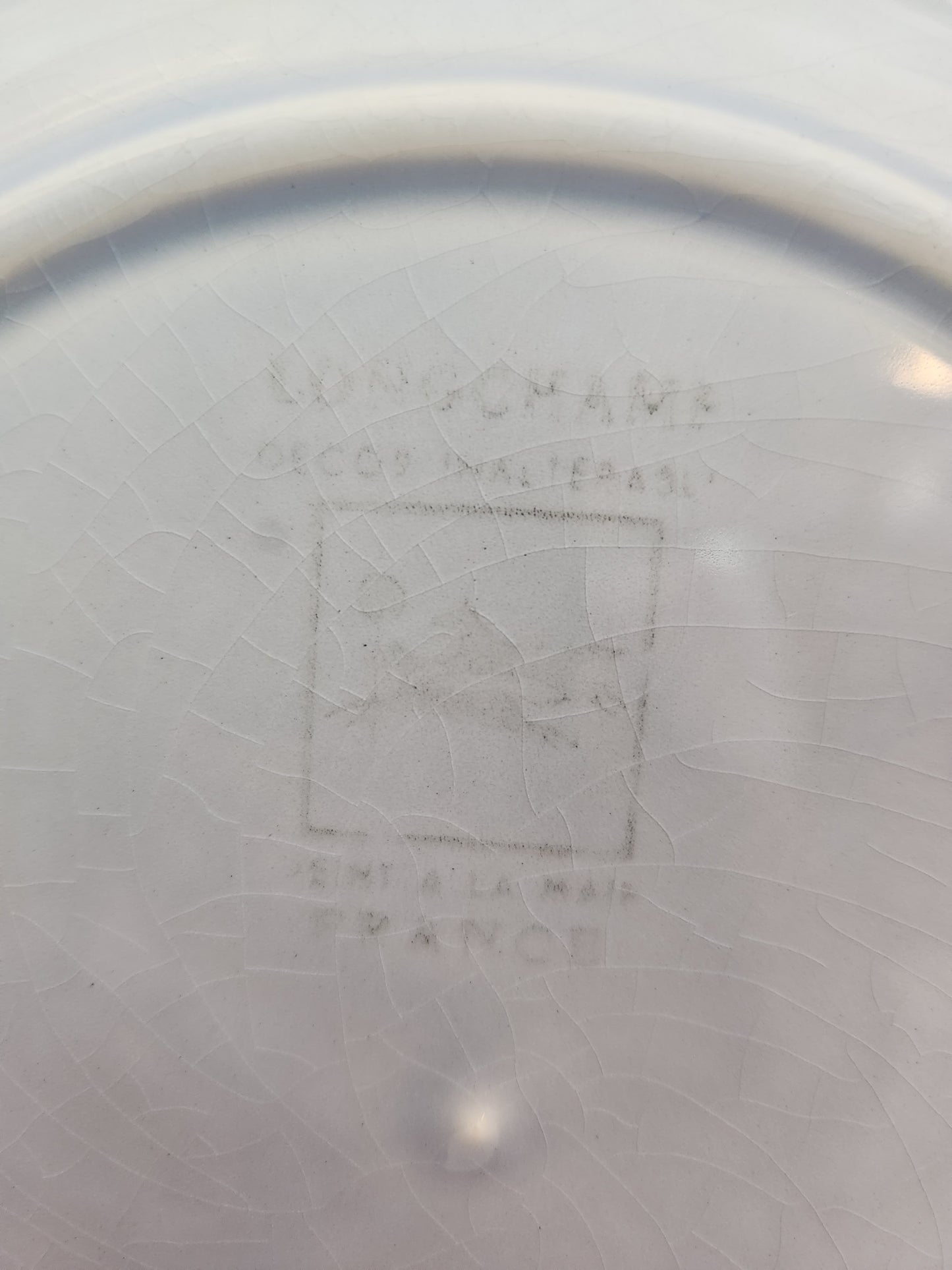 Longchamp Mon Jardin 10-1/8" Dinner Plate (crazing)