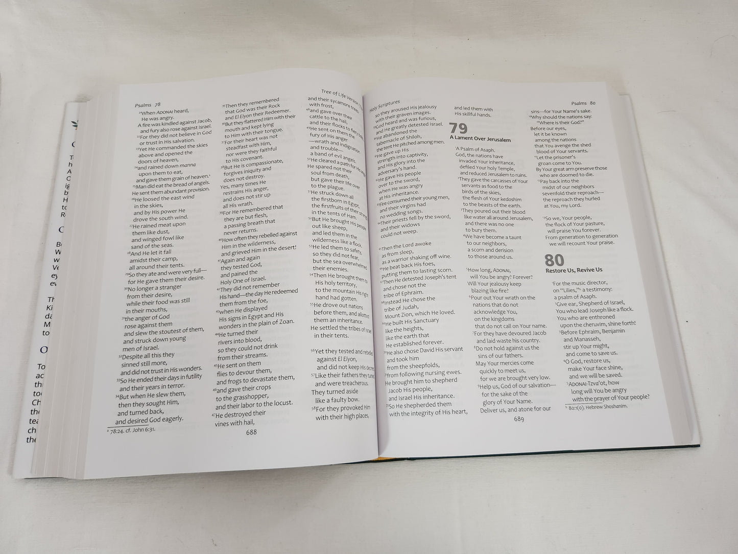 Tree of Life Heritage Bible : Illustrated (Messianic Jewish Family Bible Society)