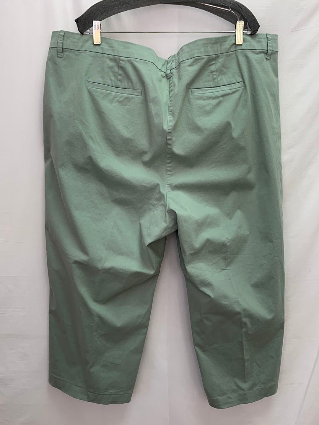 NWT - J CREW sage green Pleated Capeside Cropped Chino Pants - 24